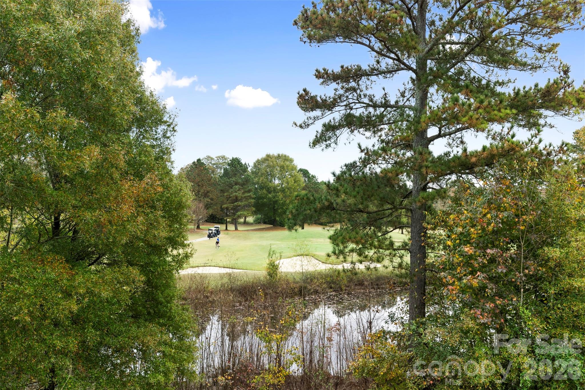 7710 Ninth Fairway Lane — Mint Hill