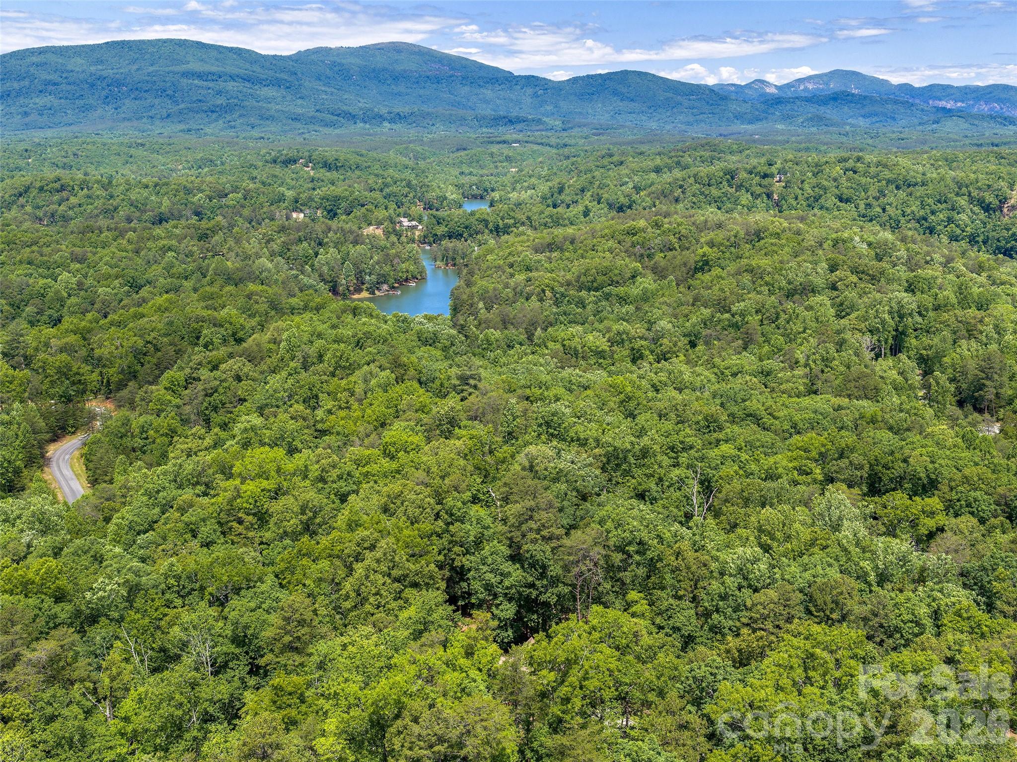 413 Green Hills Road — Mill Spring