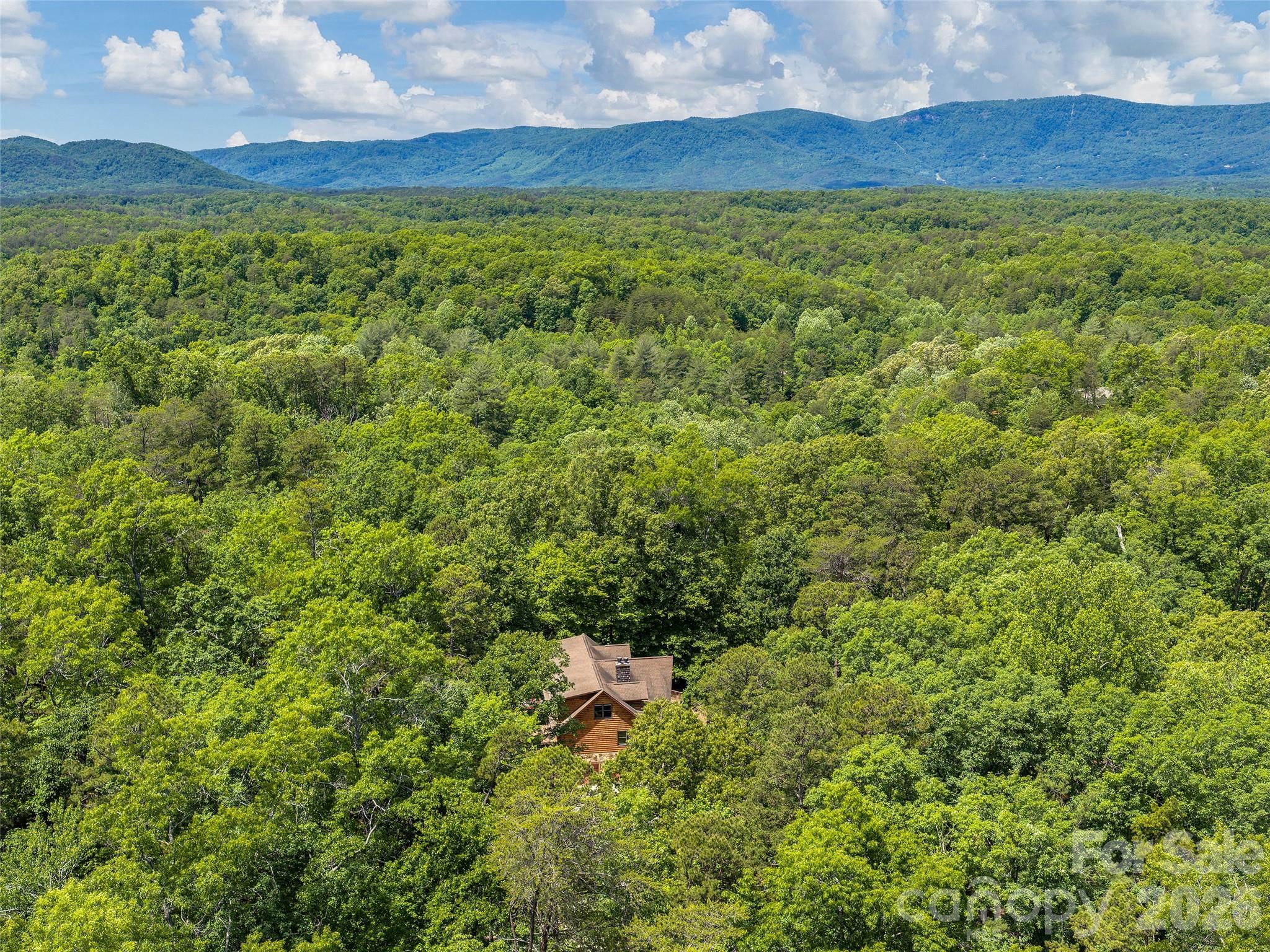 413 Green Hills Road — Mill Spring