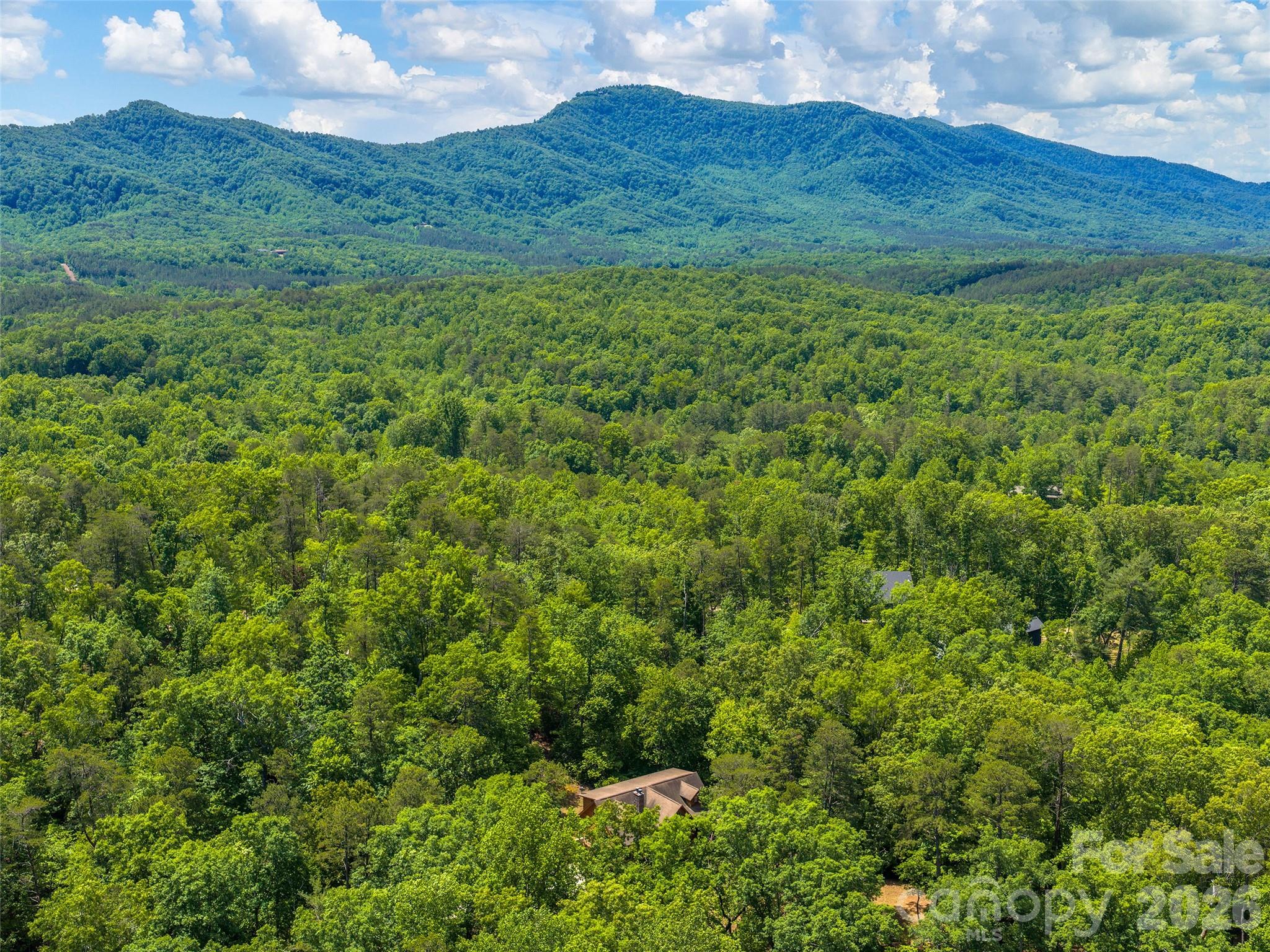 413 Green Hills Road — Mill Spring