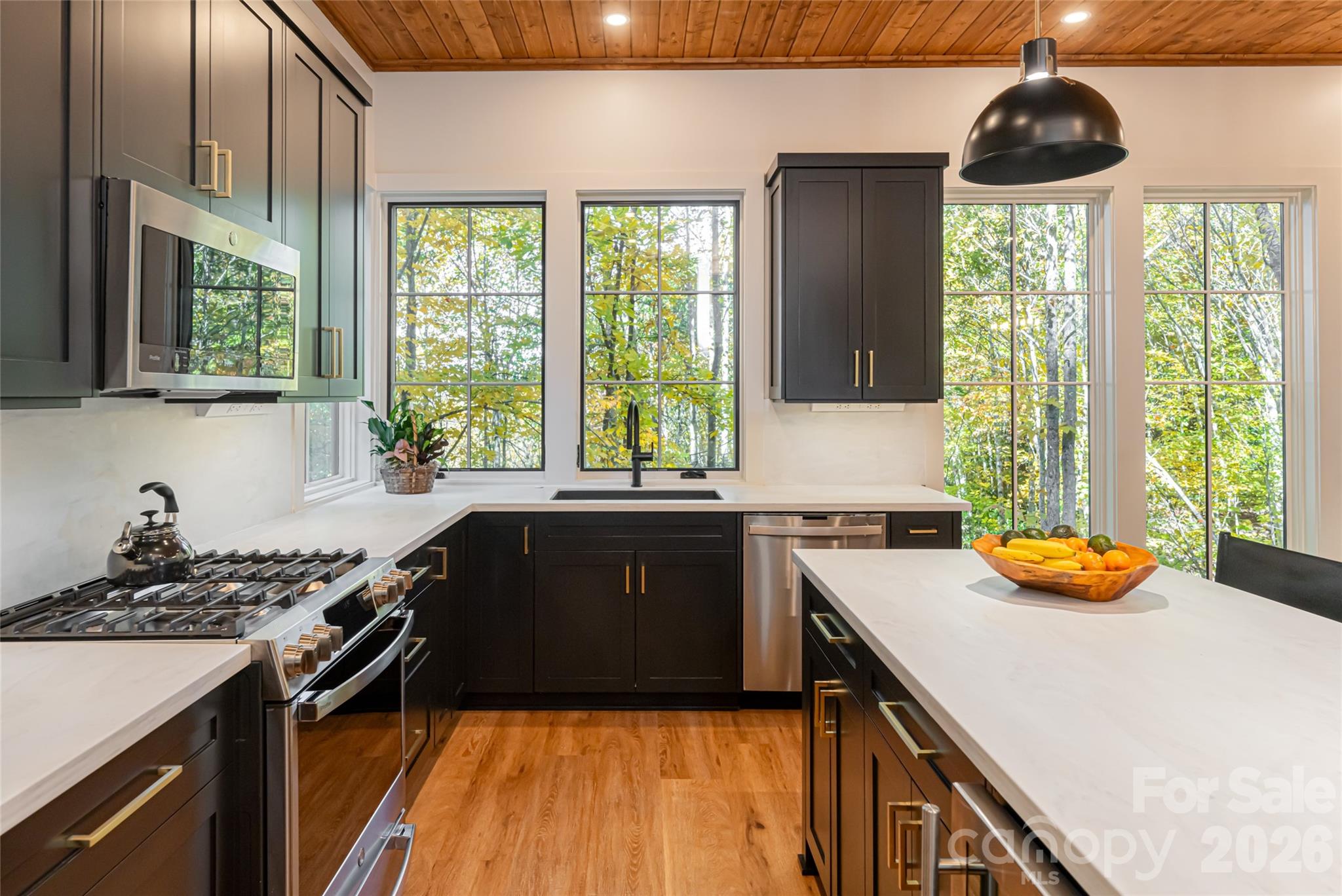 256 Haulback Way — Sylva
