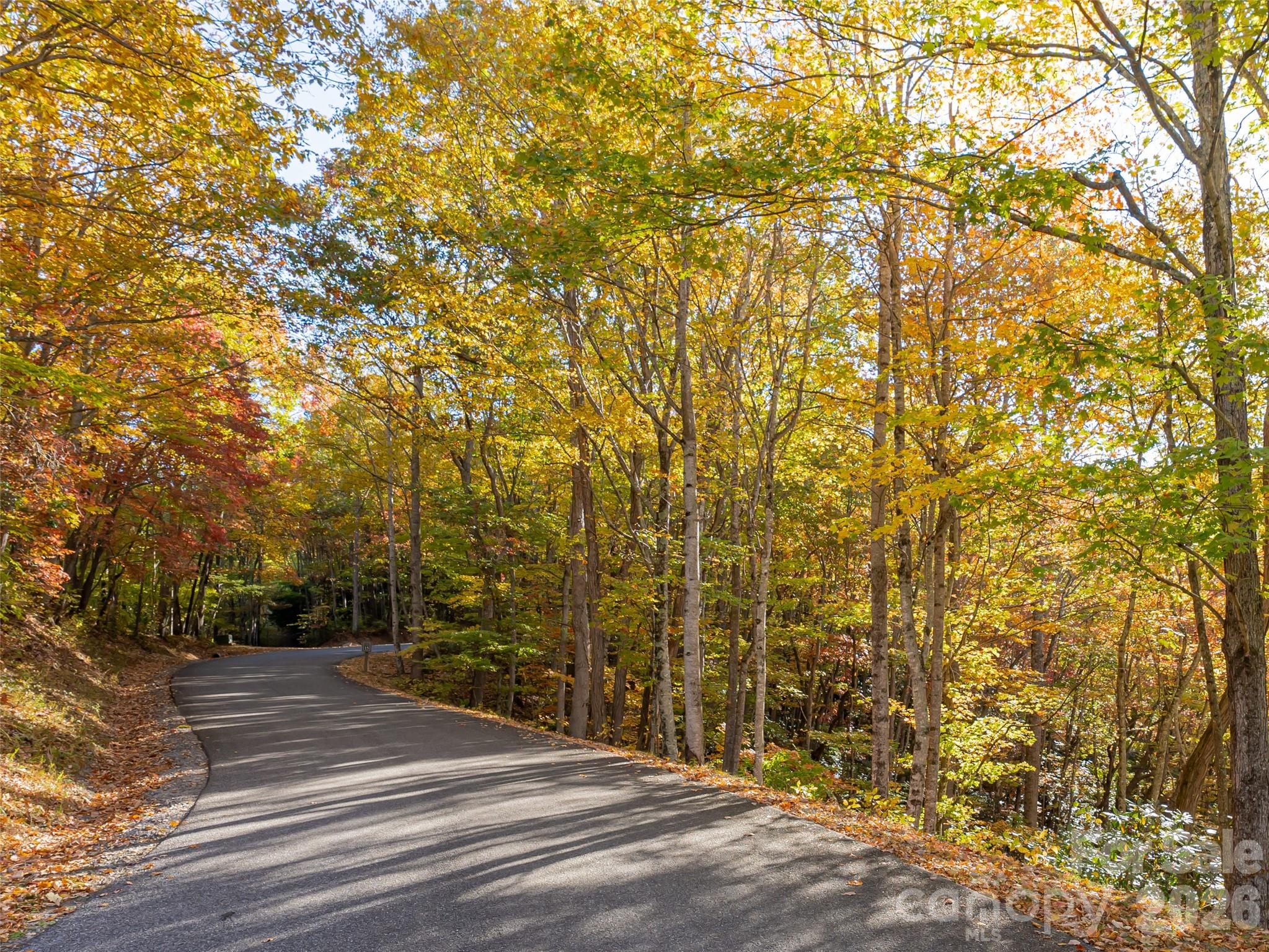 256 Haulback Way — Sylva