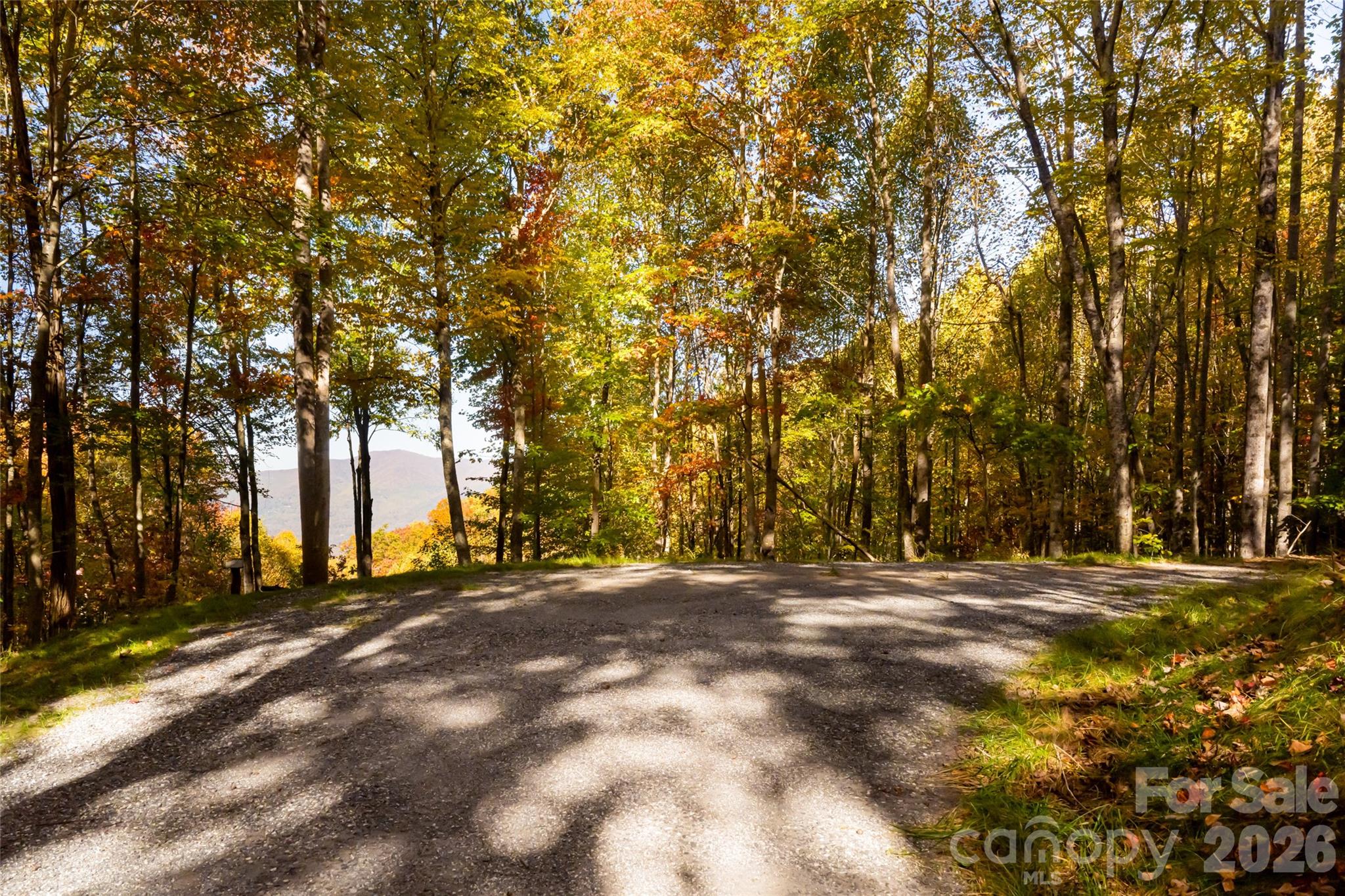 256 Haulback Way — Sylva