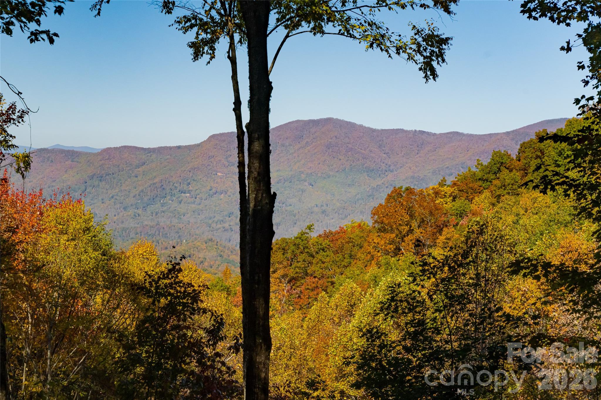 256 Haulback Way — Sylva