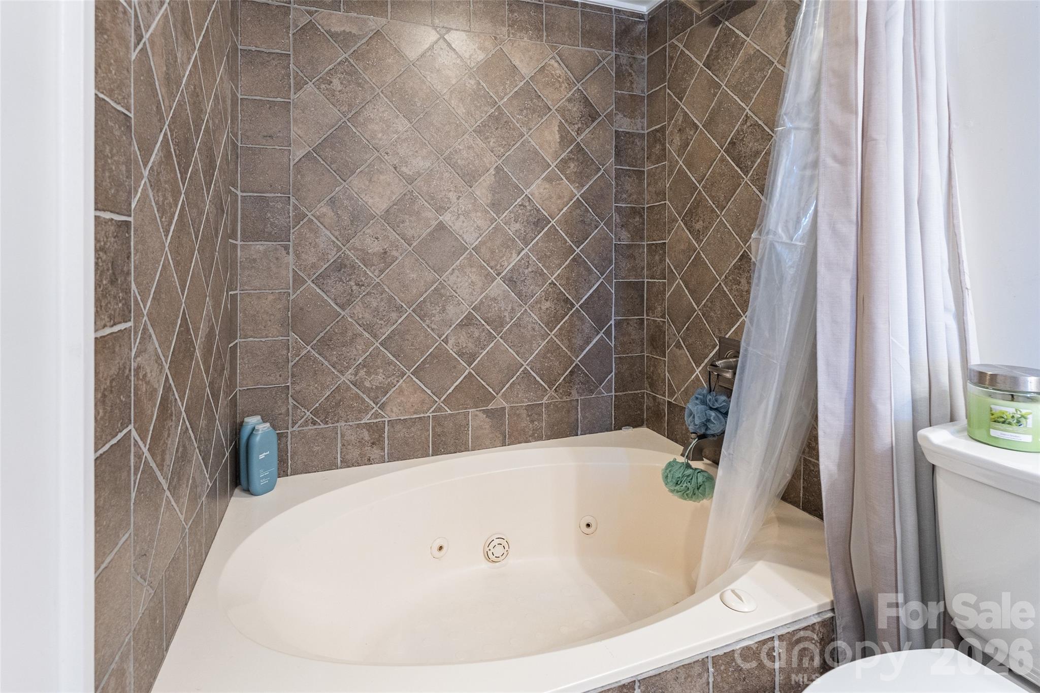 20417 Harborgate Court #507 — Cornelius