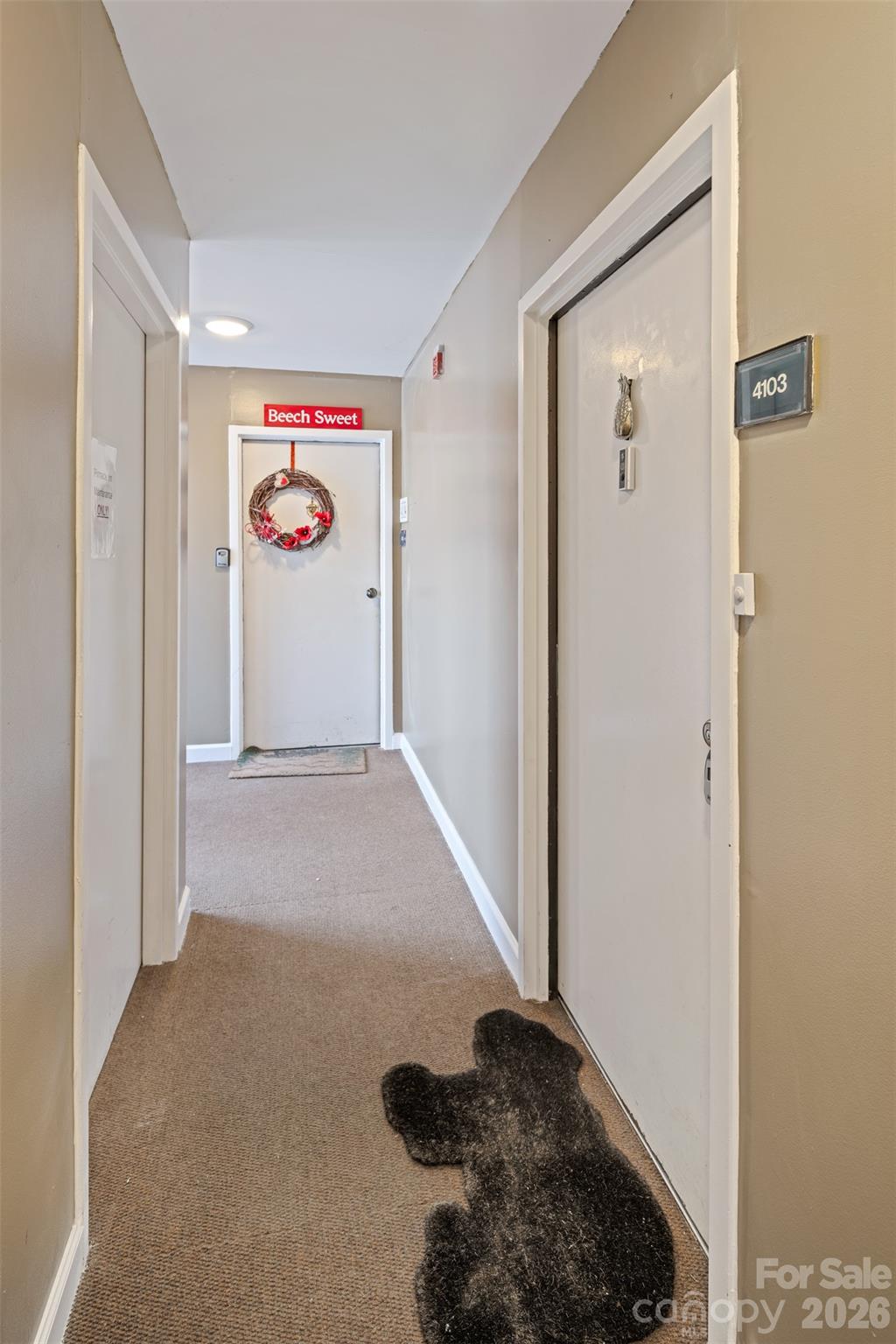 301 Pinnacle Inn Road #4103 — Beech Mountain