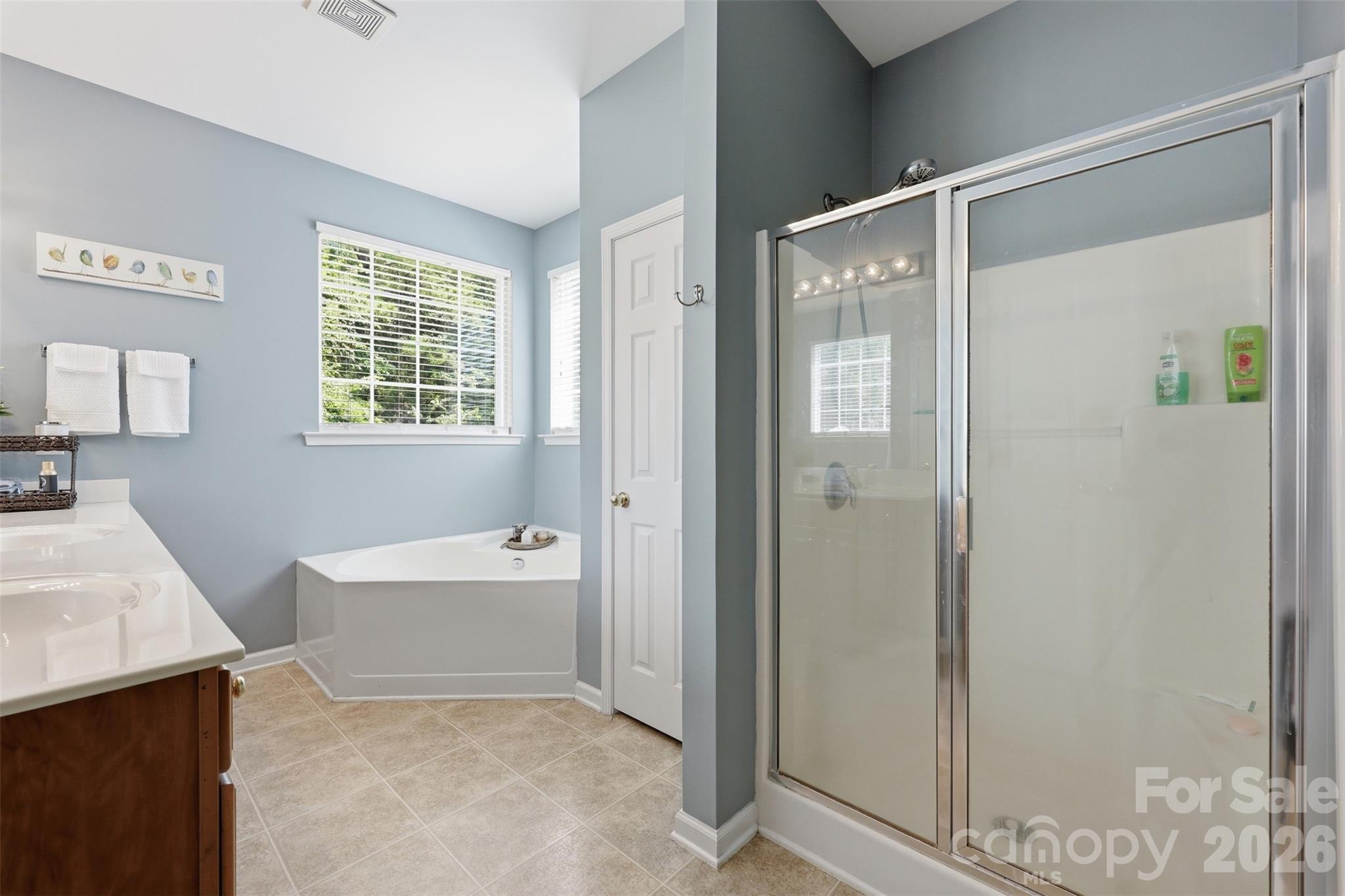 3161 Pine Bluff Way — Indian Land