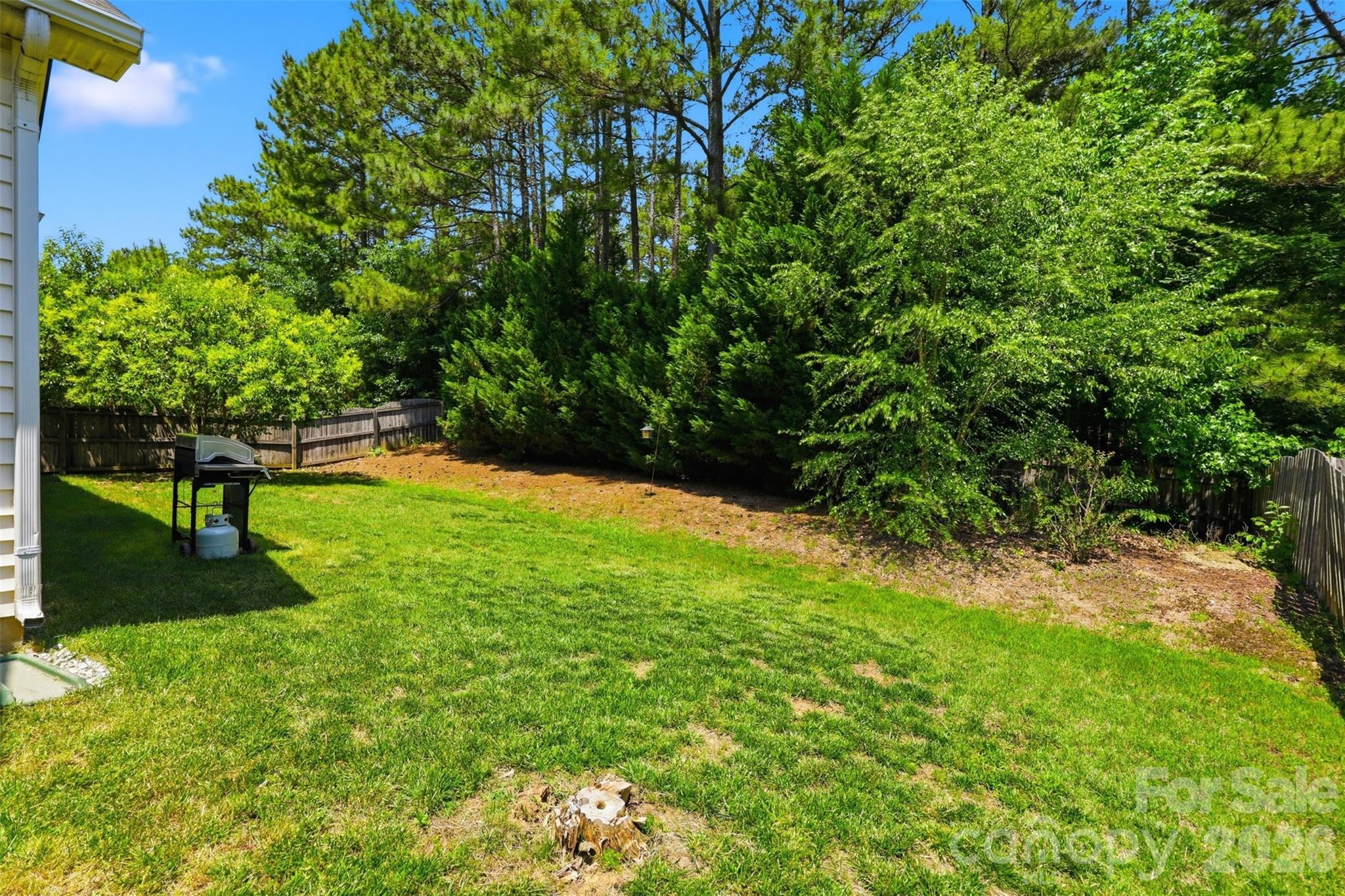 3161 Pine Bluff Way — Indian Land