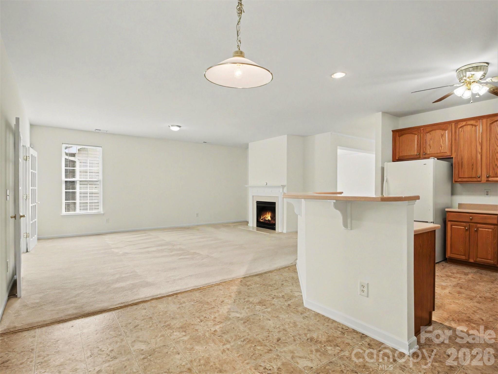 834 Platinum Drive — Fort Mill