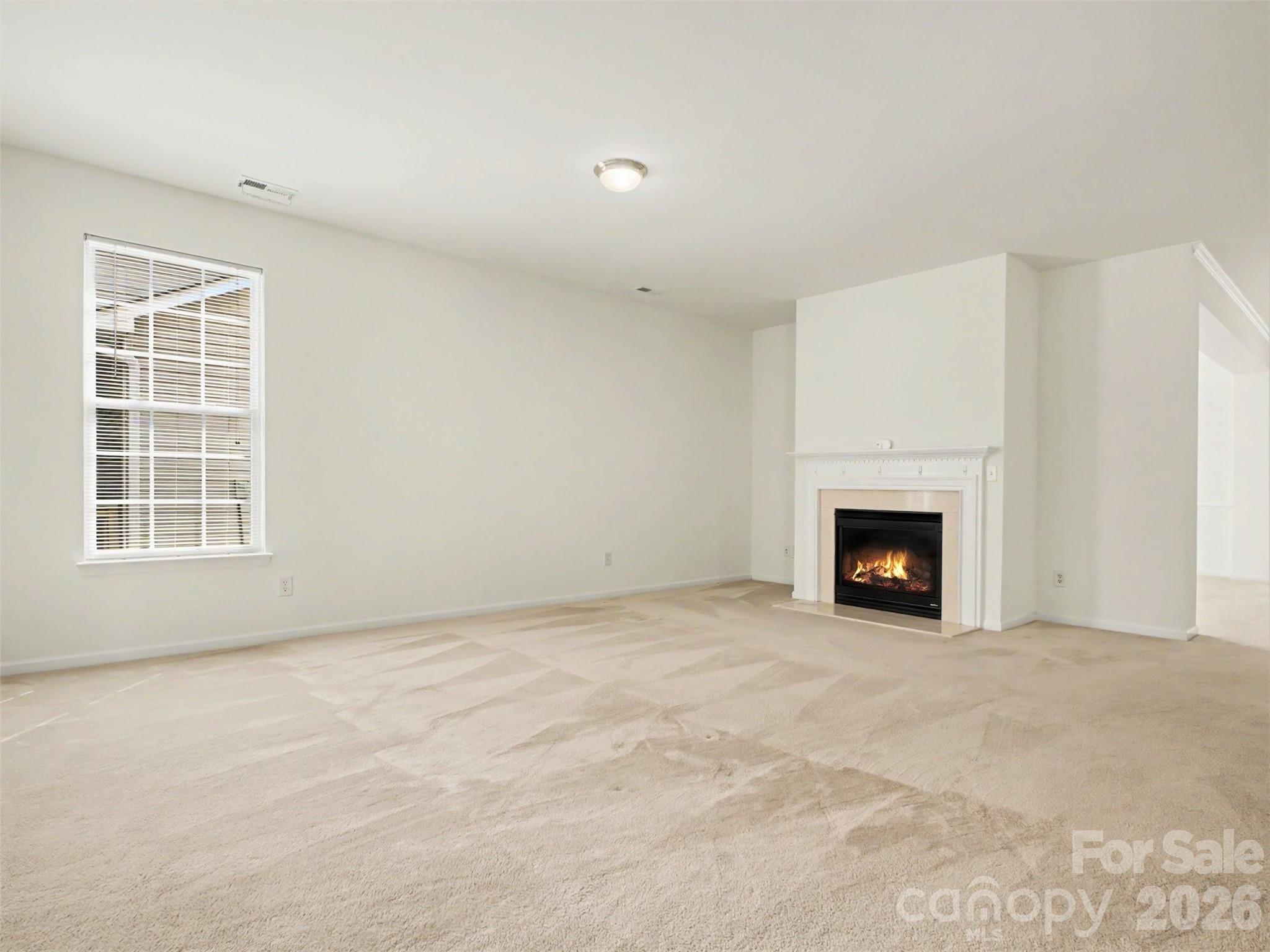 834 Platinum Drive — Fort Mill