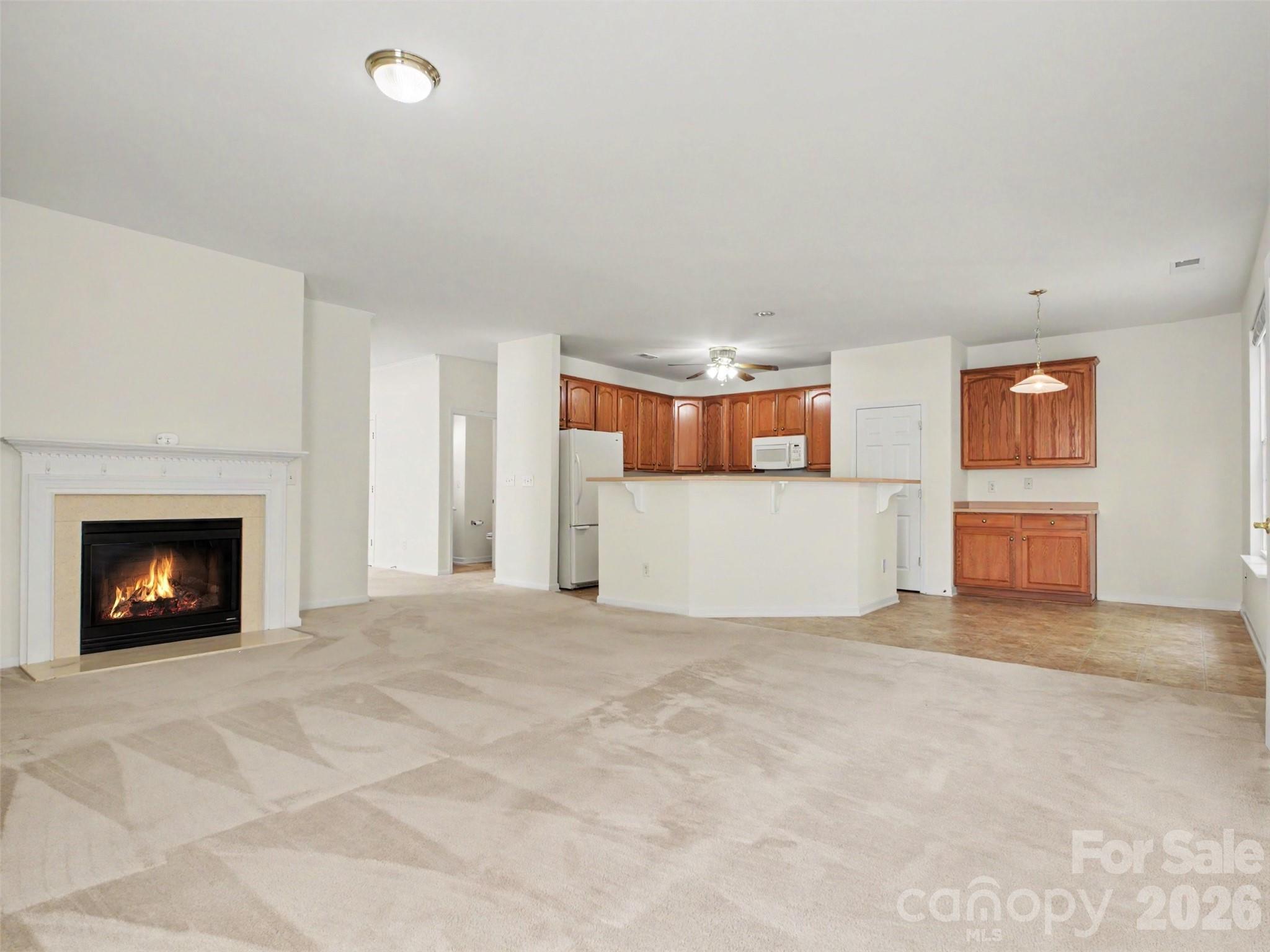 834 Platinum Drive — Fort Mill