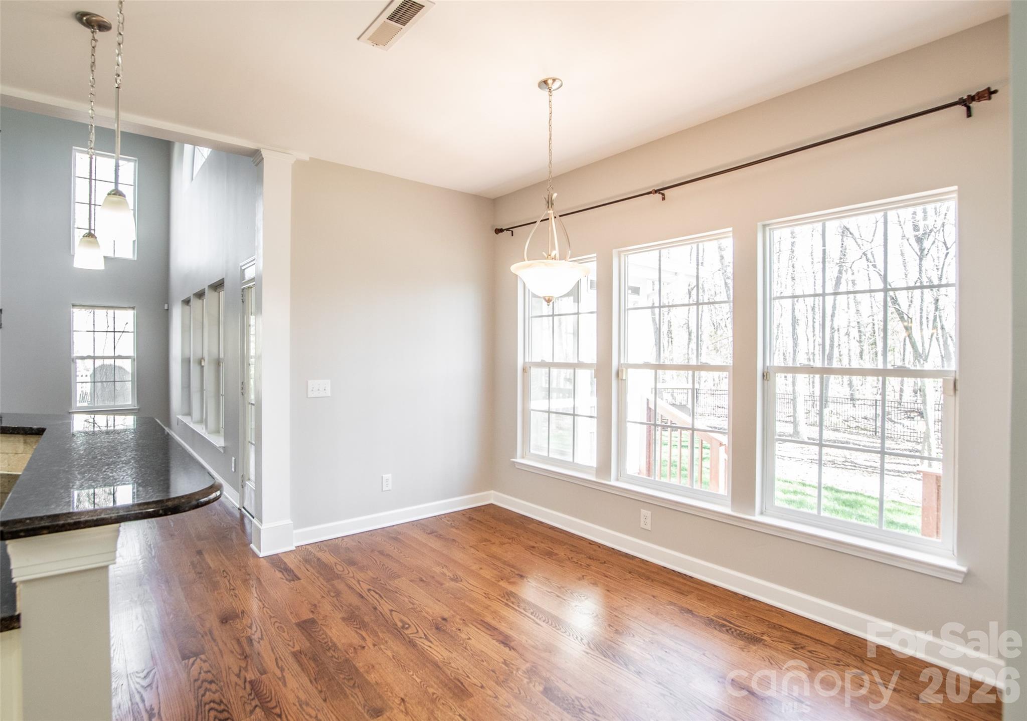 203 Elven Court — Waxhaw