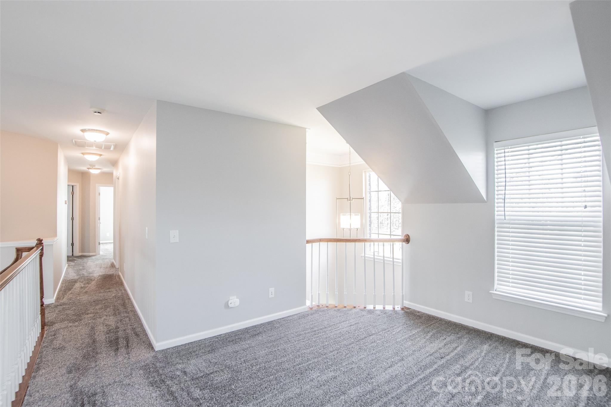 203 Elven Court — Waxhaw