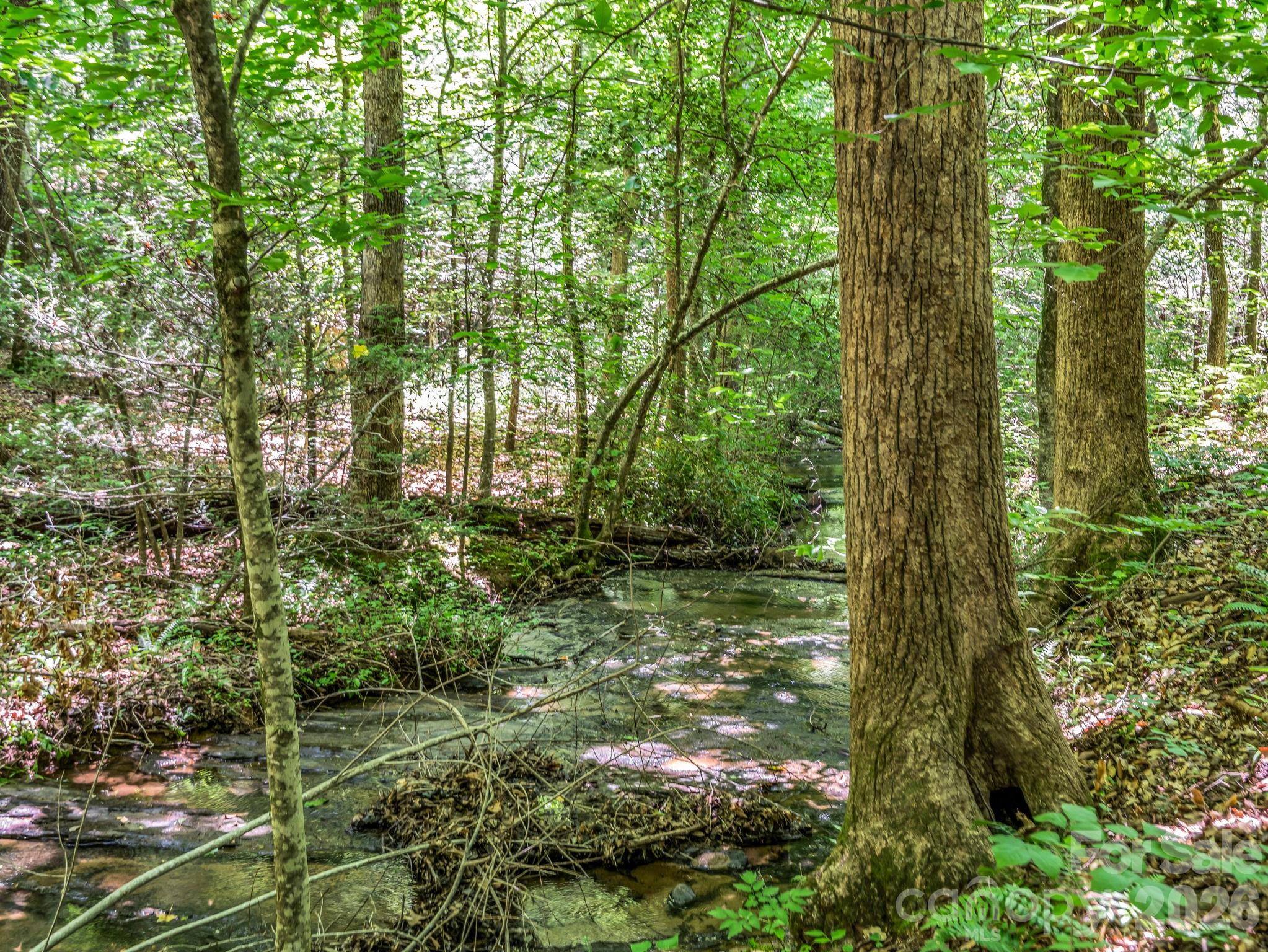 670 Cedar Creek Road — Lake Lure