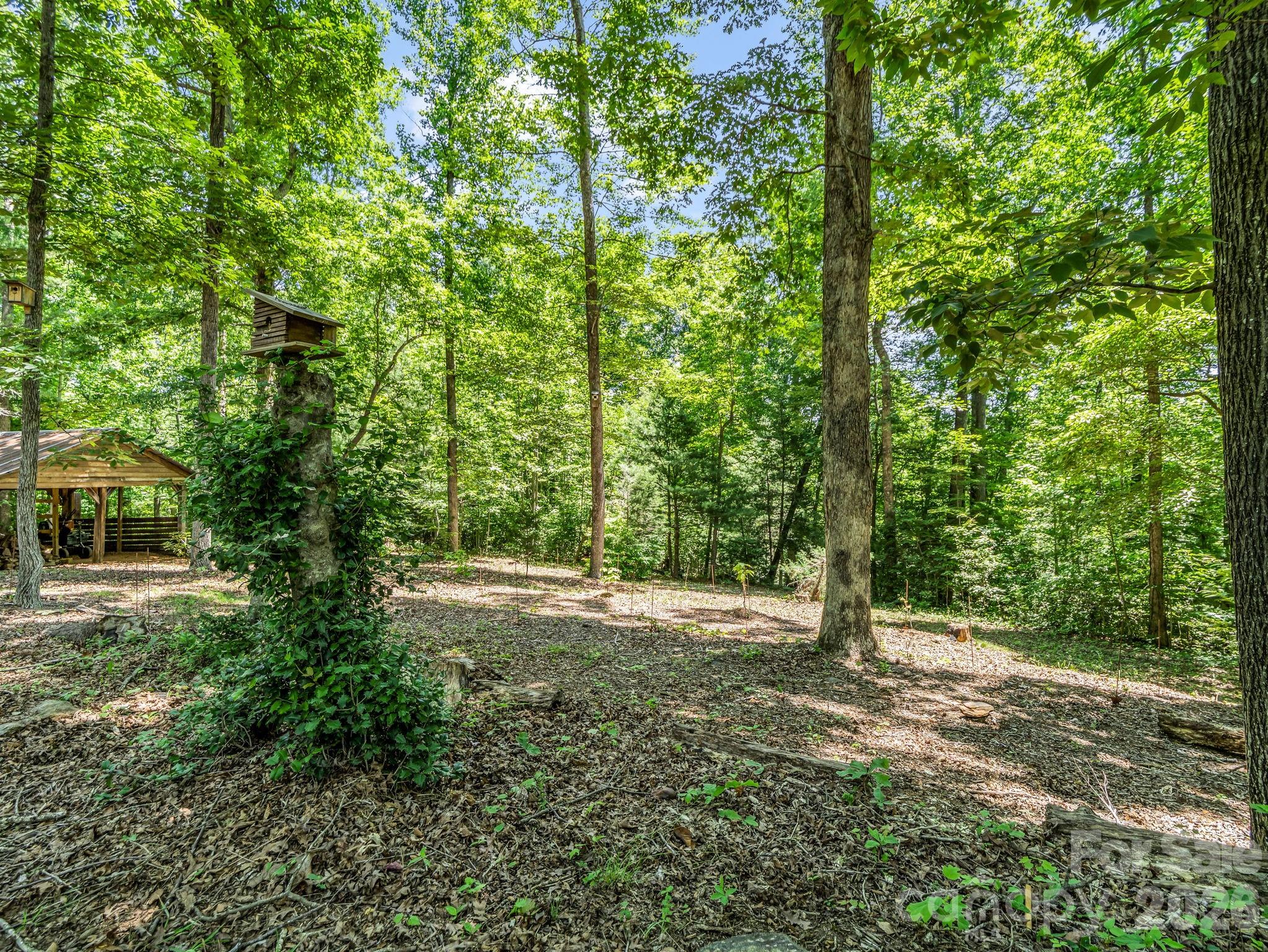670 Cedar Creek Road — Lake Lure