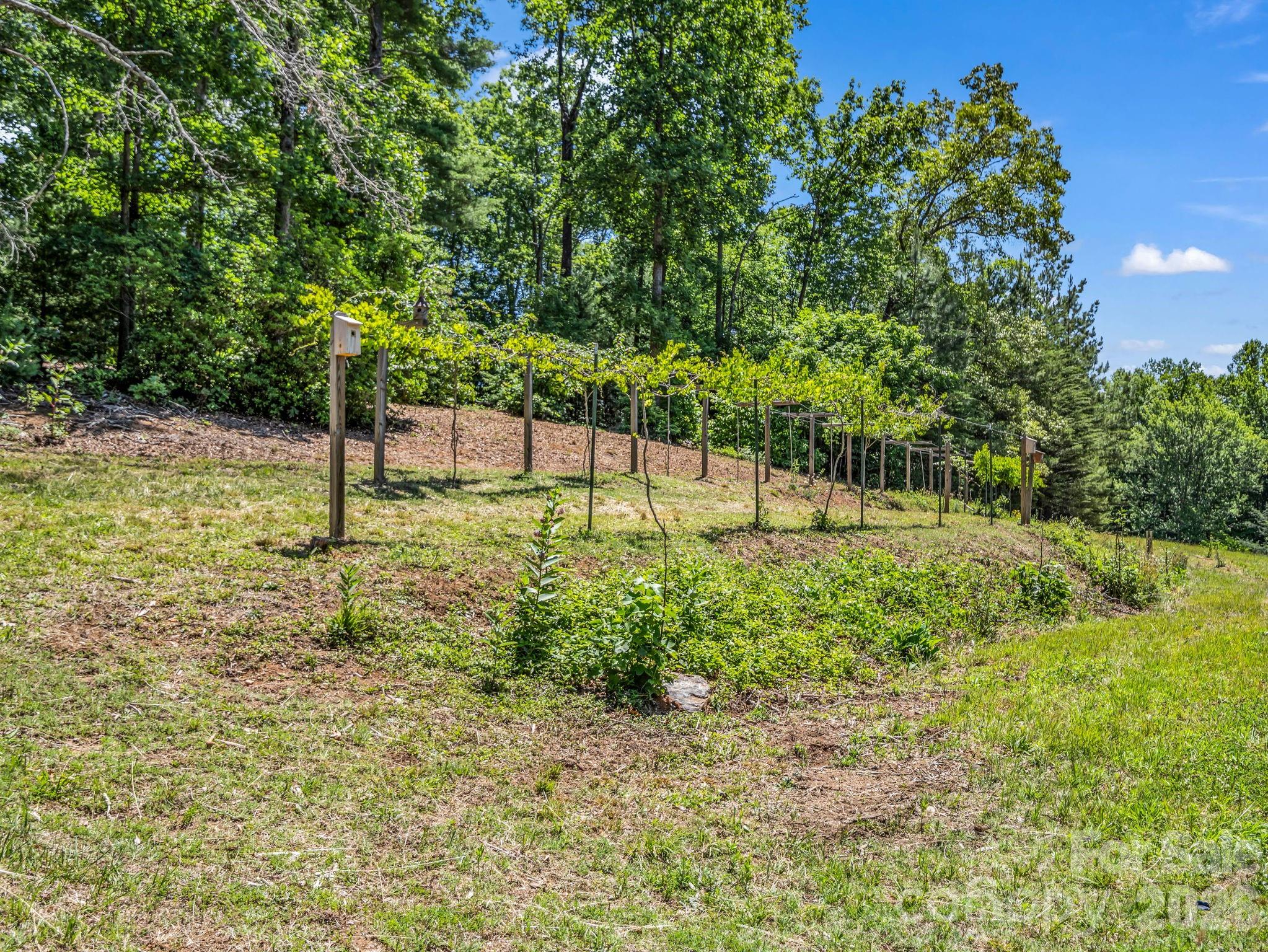 670 Cedar Creek Road — Lake Lure