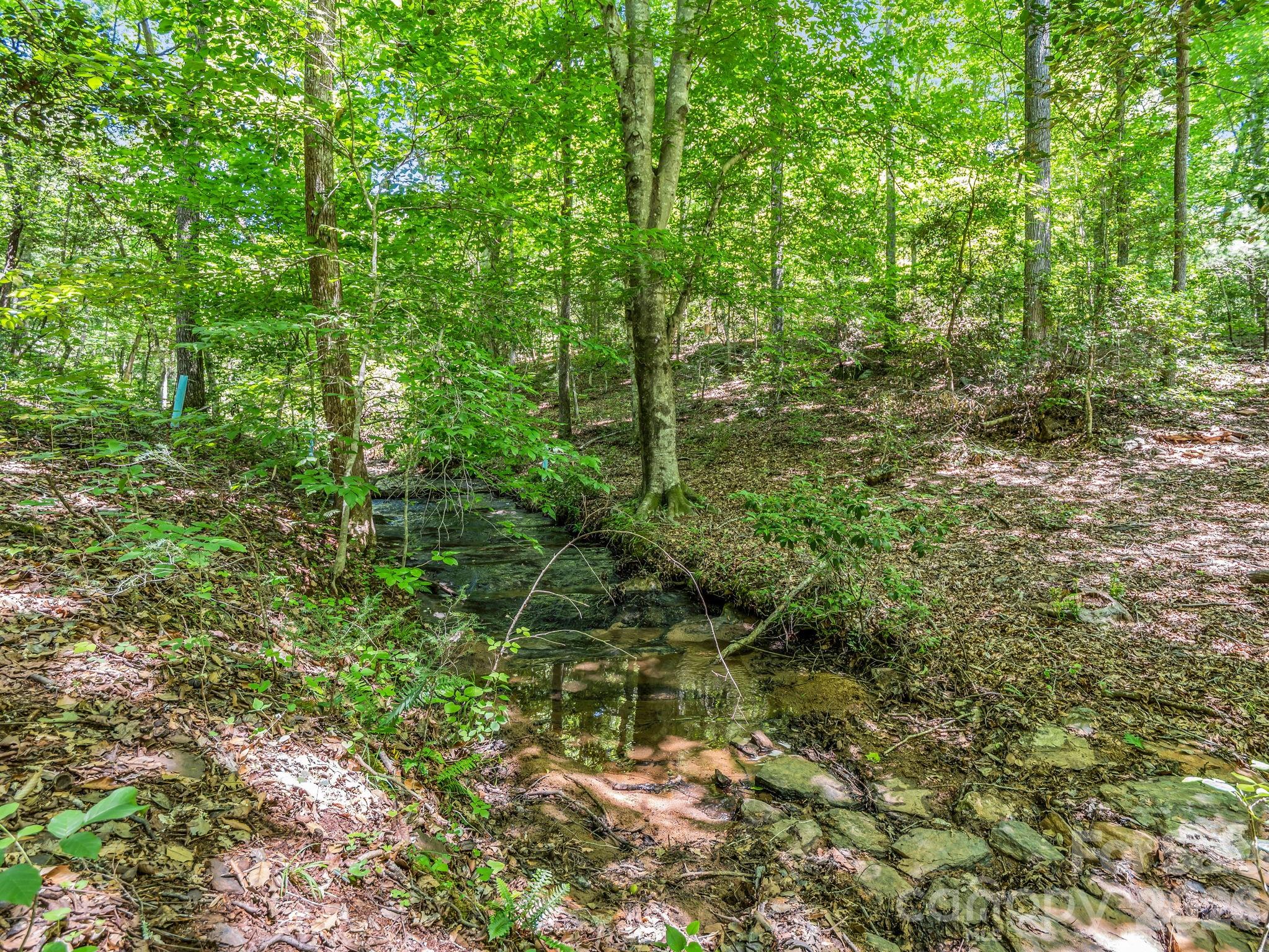 670 Cedar Creek Road — Lake Lure