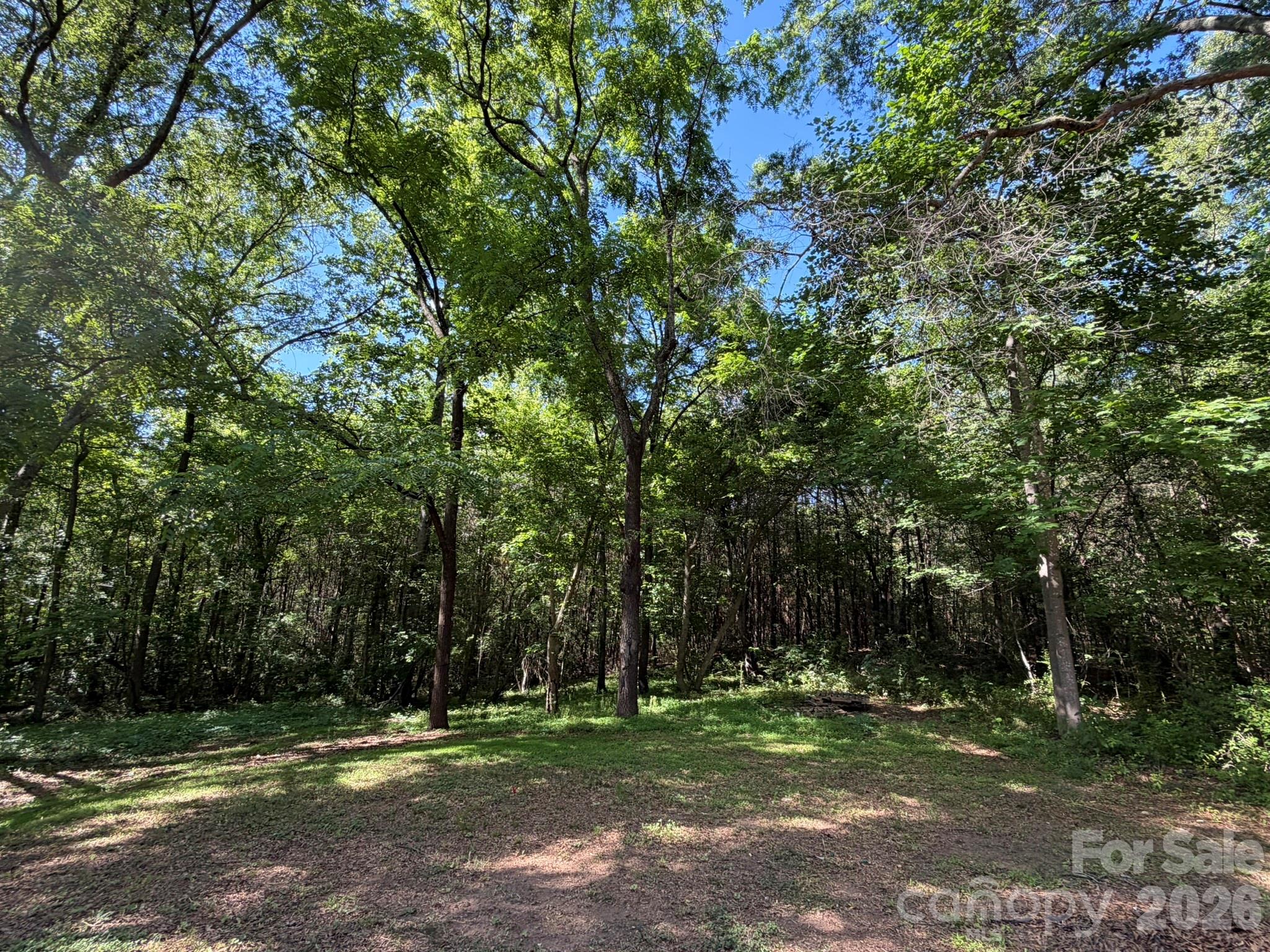 382 Alexis High Shoals Road — Dallas
