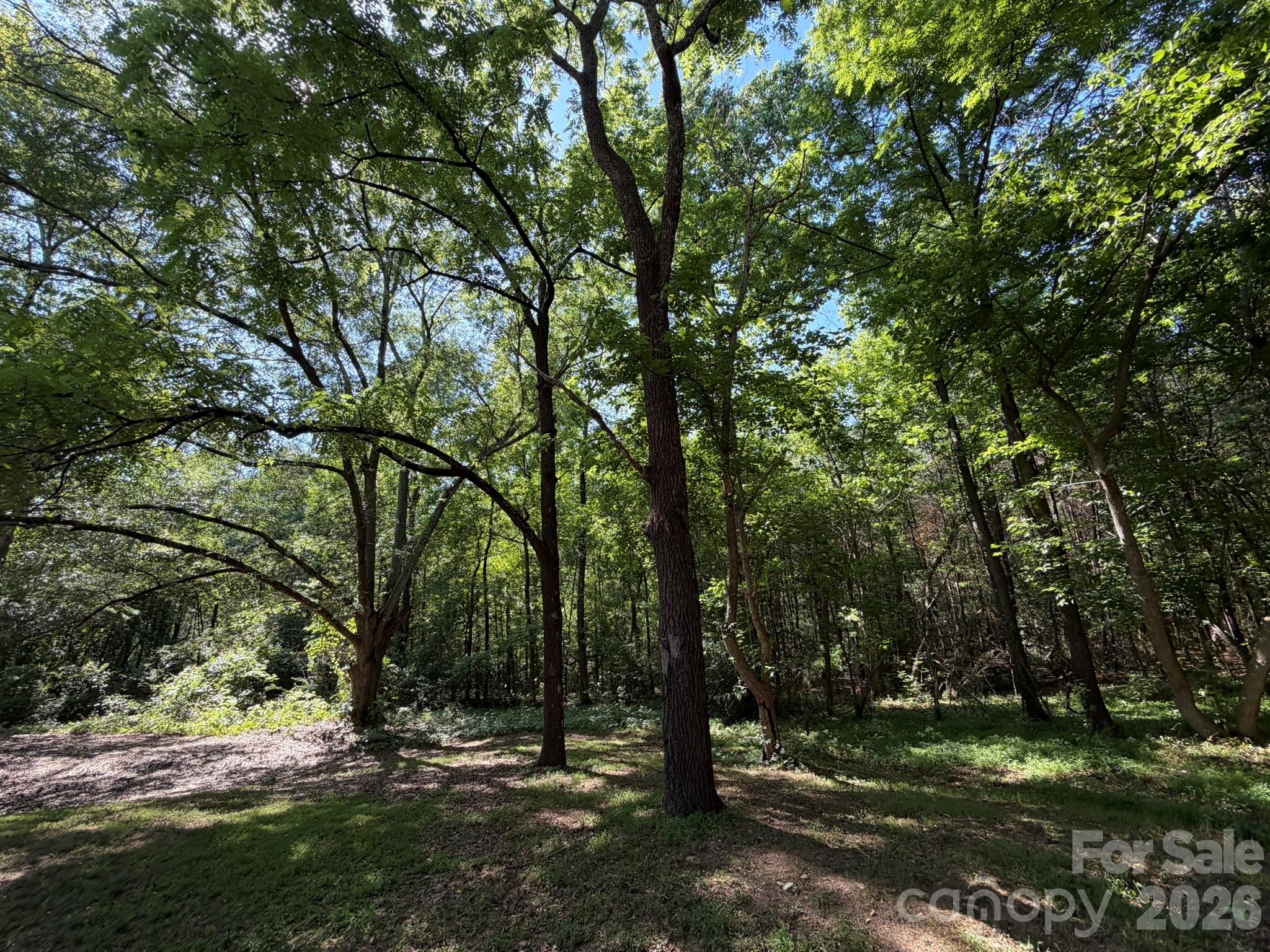 382 Alexis High Shoals Road — Dallas