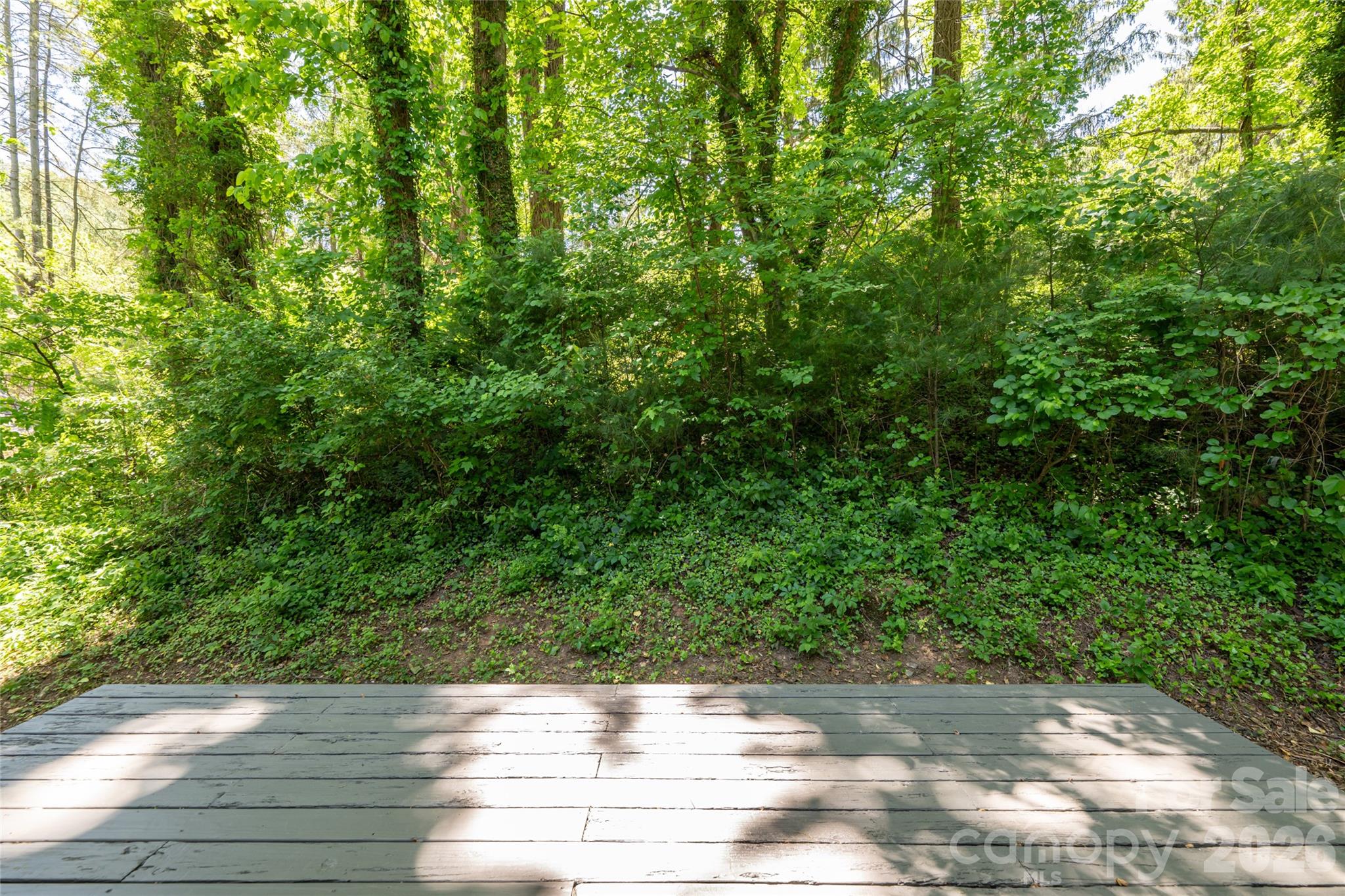 1 Beaverdam Knoll Road — Asheville