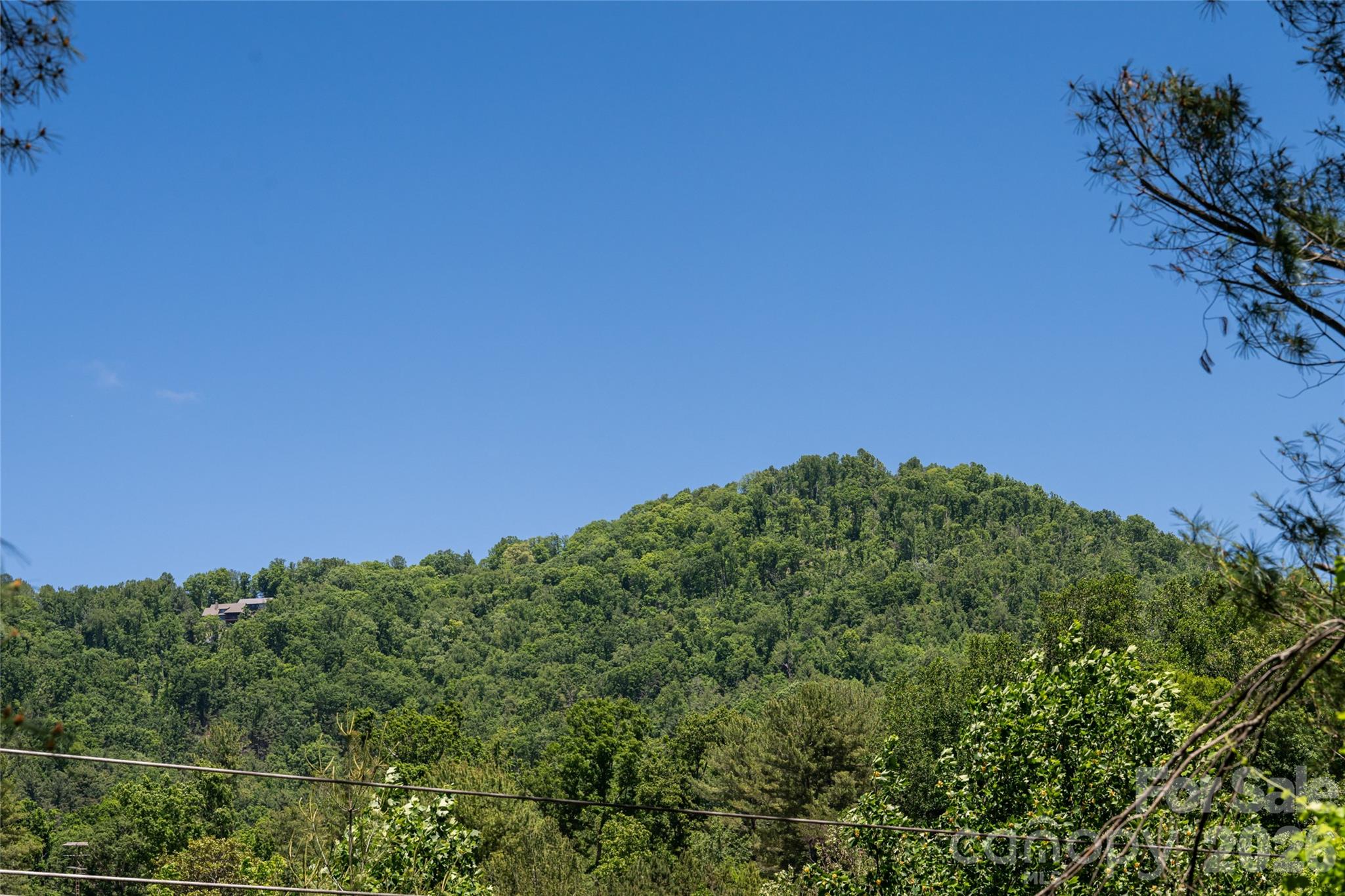 1 Beaverdam Knoll Road — Asheville