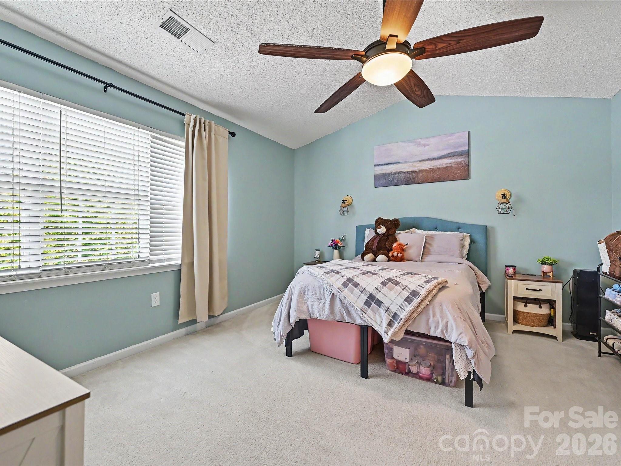 12307 Bluestem Lane — Charlotte