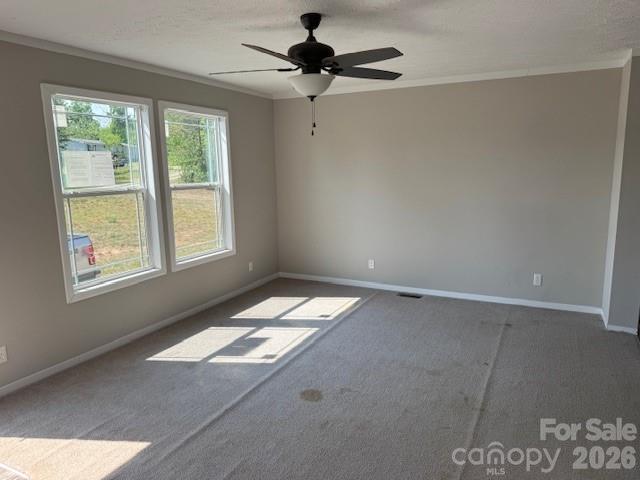 4360 Vein Mountain Road — Nebo