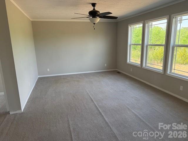 4360 Vein Mountain Road — Nebo
