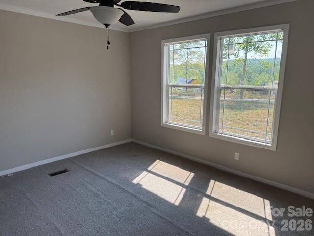 4360 Vein Mountain Road — Nebo