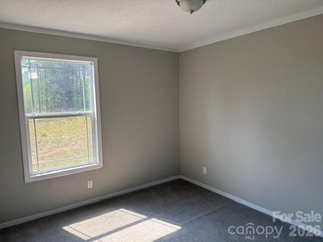 4360 Vein Mountain Road — Nebo