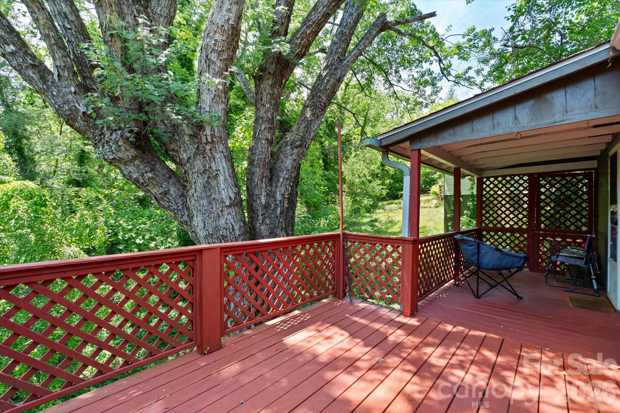 224 Aurora Drive — Asheville