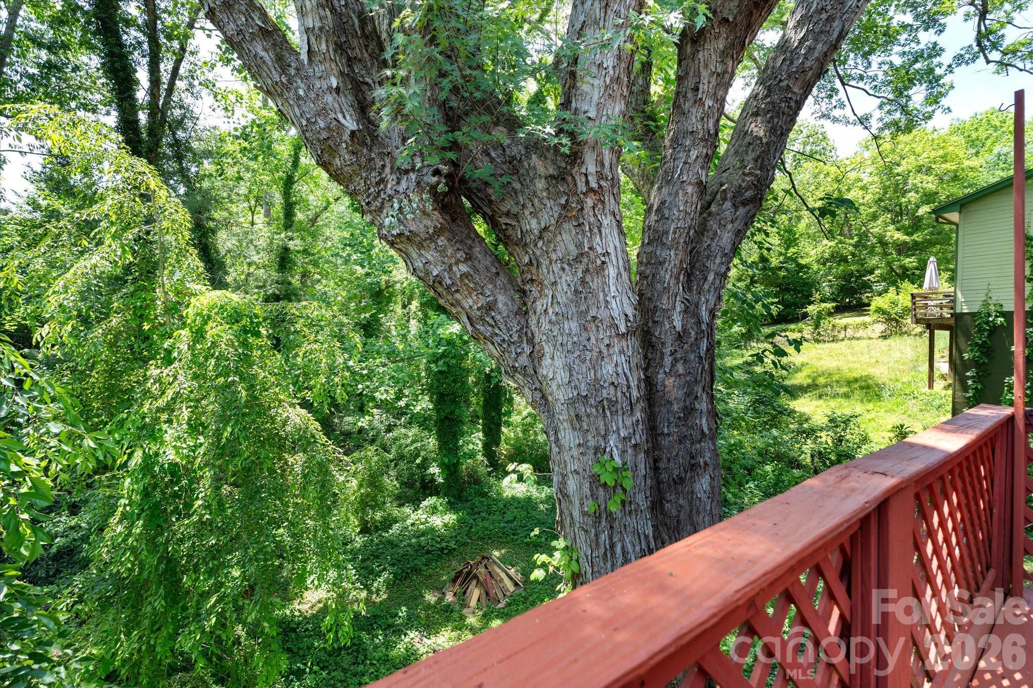 224 Aurora Drive — Asheville