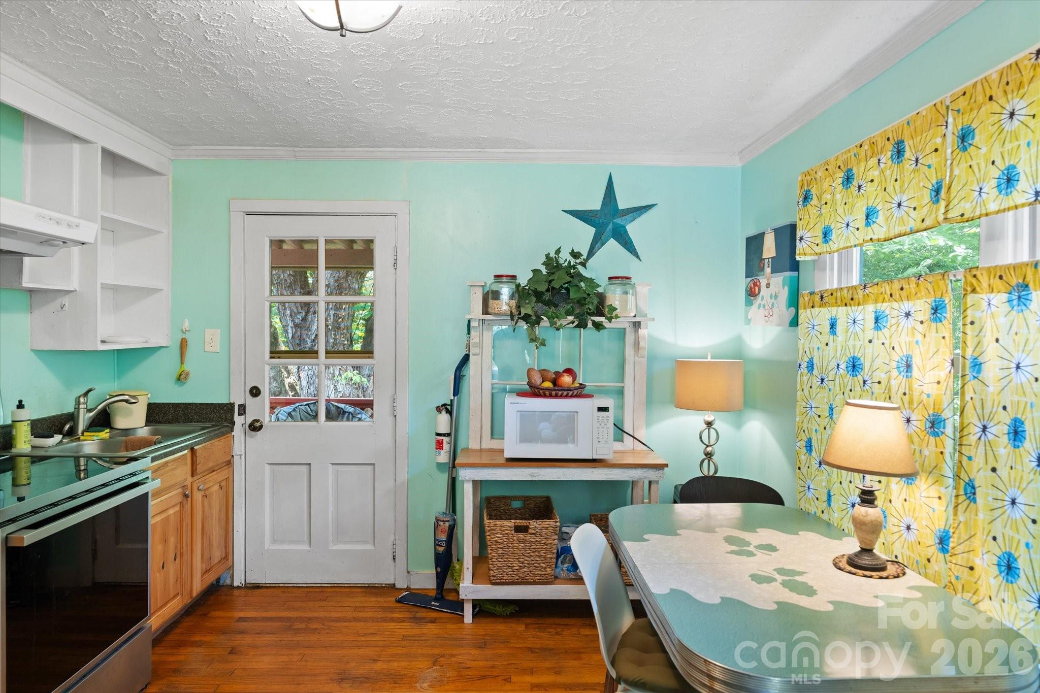 224 Aurora Drive — Asheville