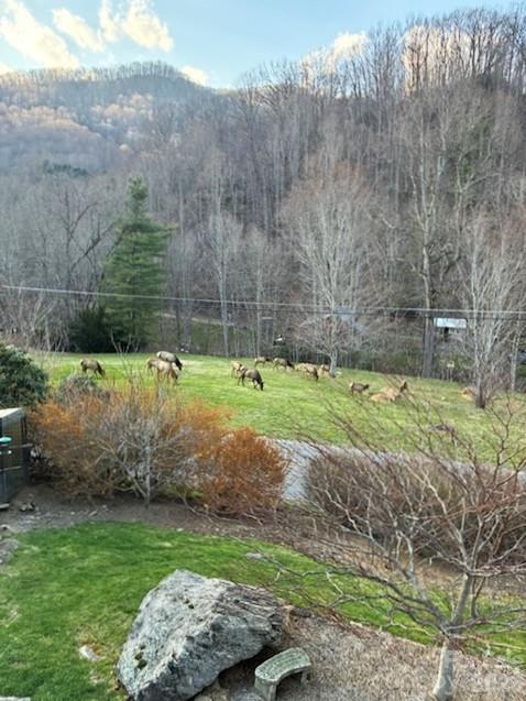 361 Black Camp Gap Road — Maggie Valley