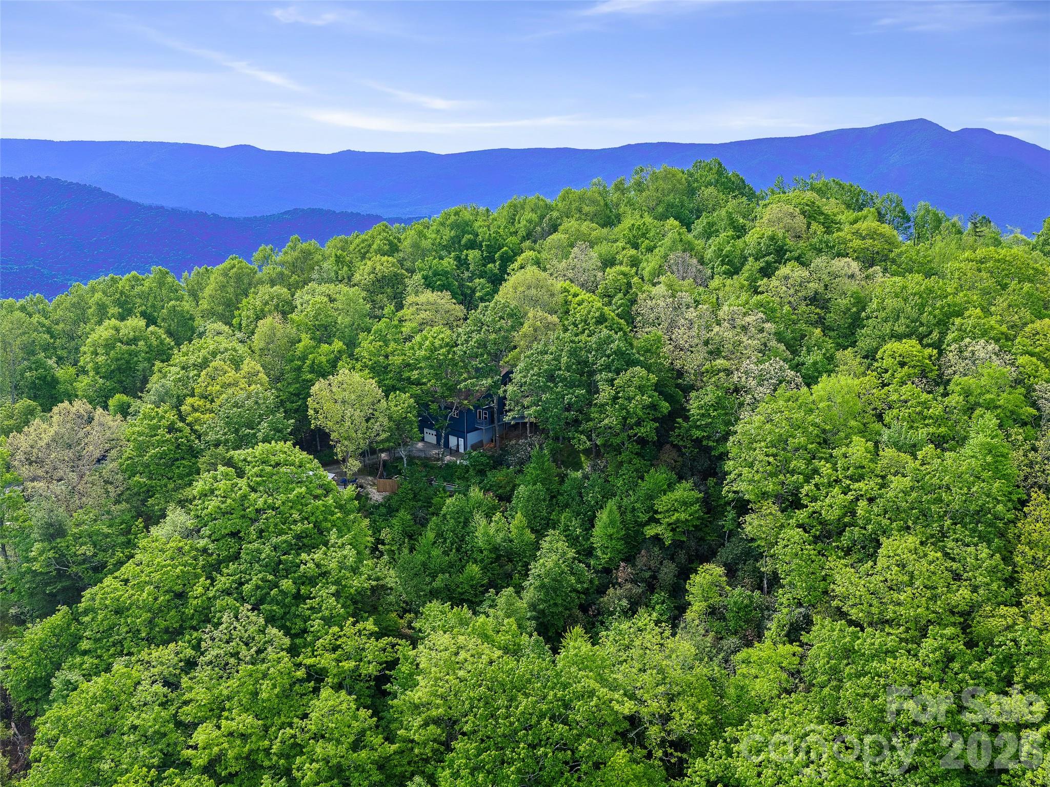 228 Continental Divide Road — Spruce Pine