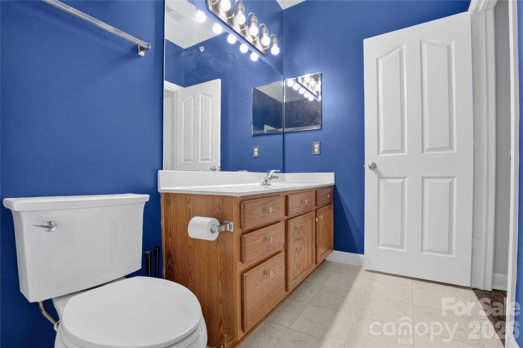 17221 Doe Valley Court — Cornelius