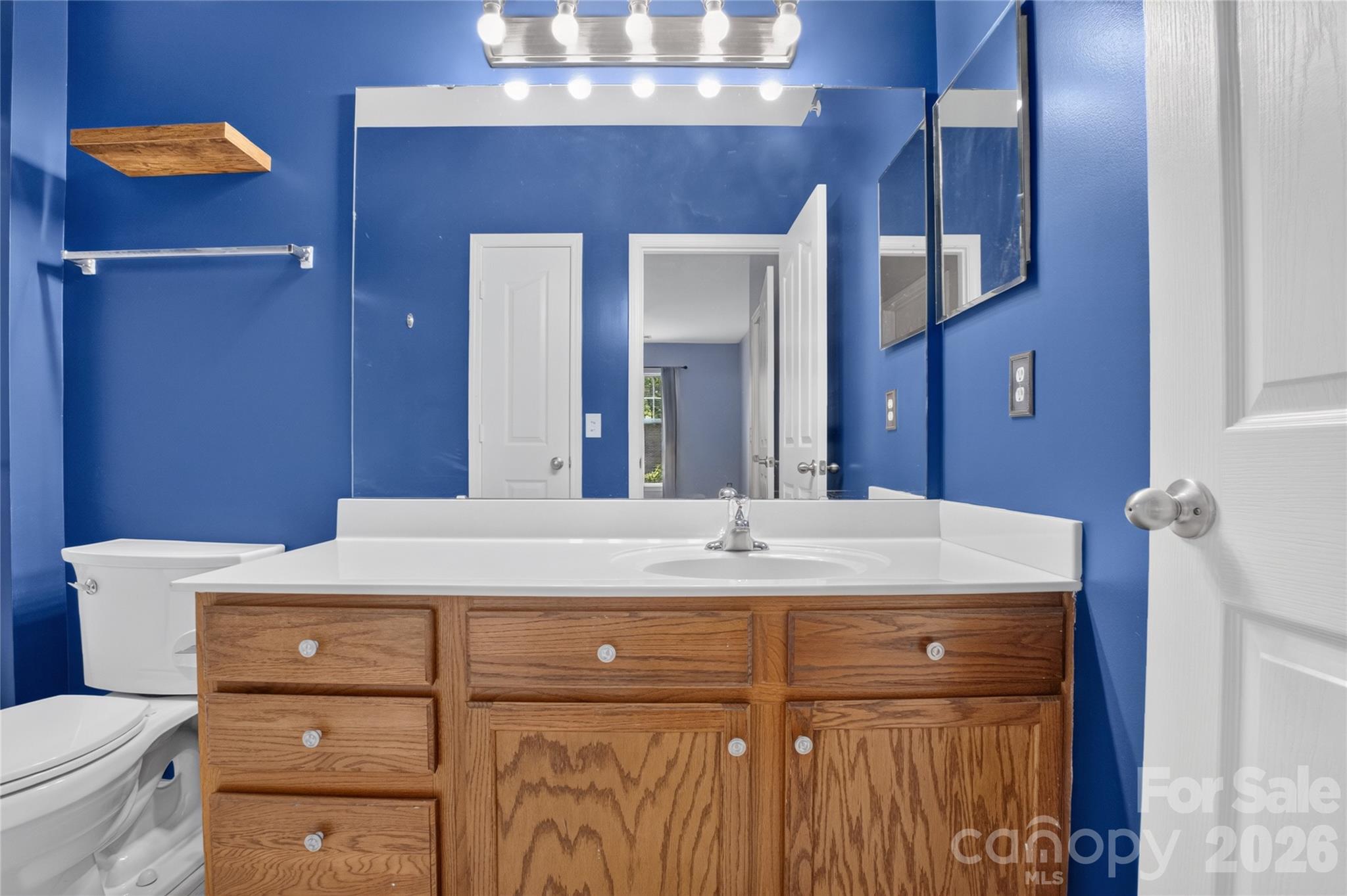 17221 Doe Valley Court — Cornelius