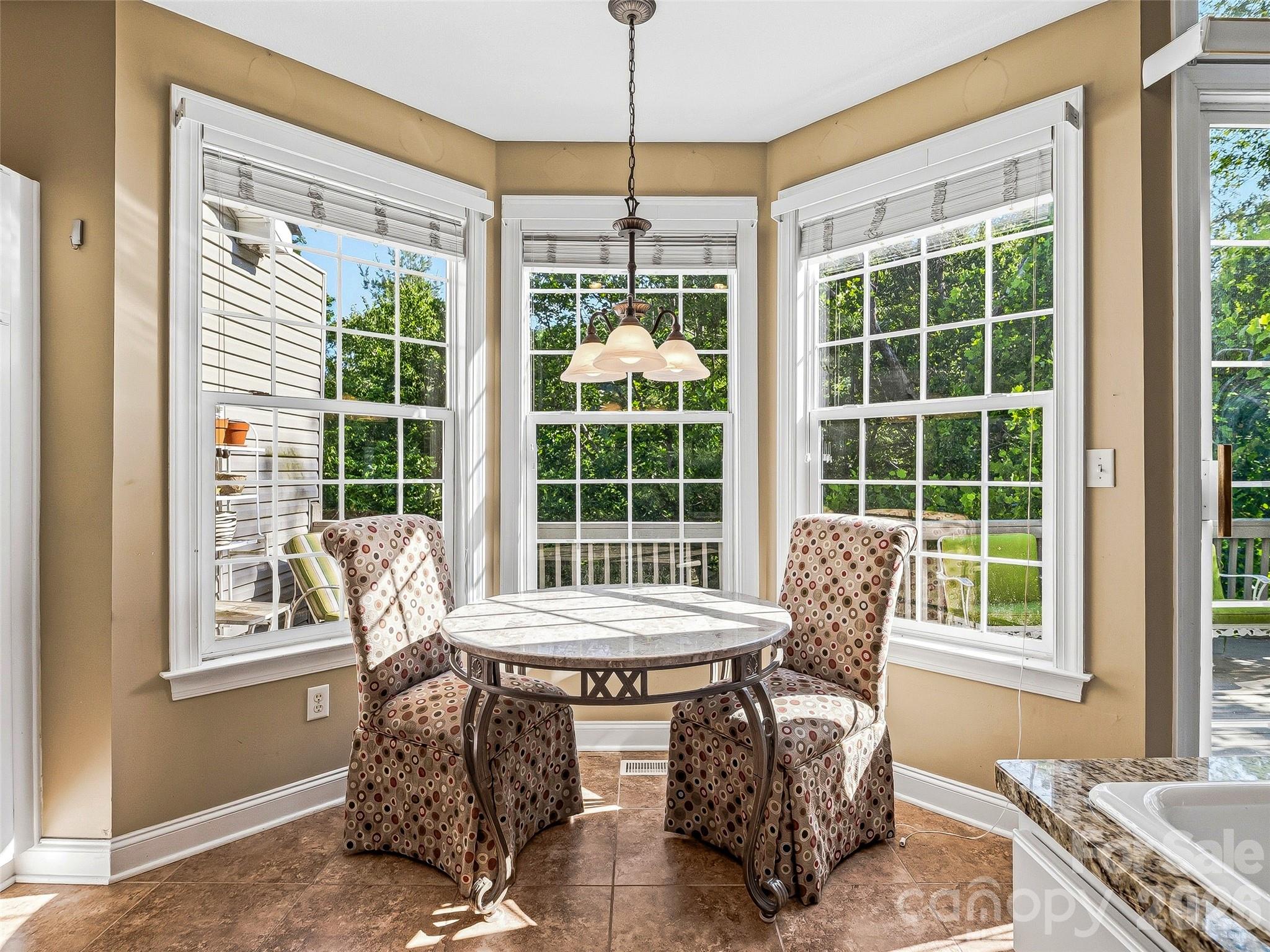 117 Hibiscus Lane — Asheville