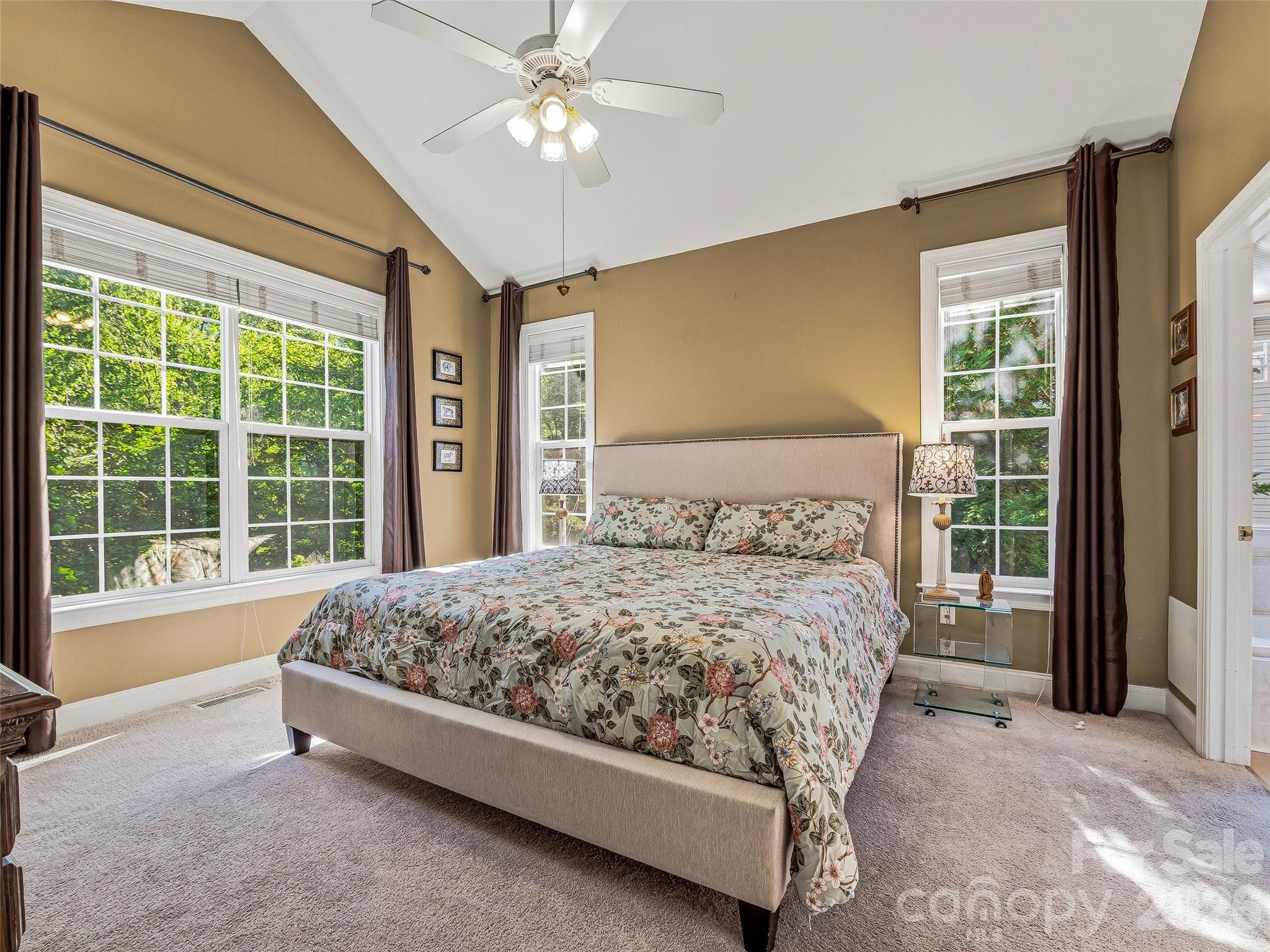 117 Hibiscus Lane — Asheville
