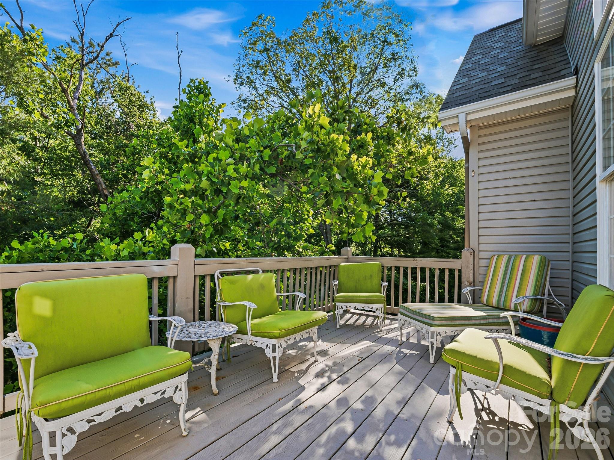 117 Hibiscus Lane — Asheville
