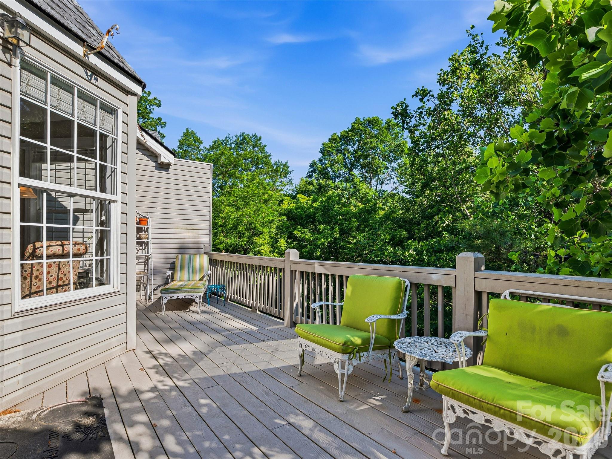 117 Hibiscus Lane — Asheville