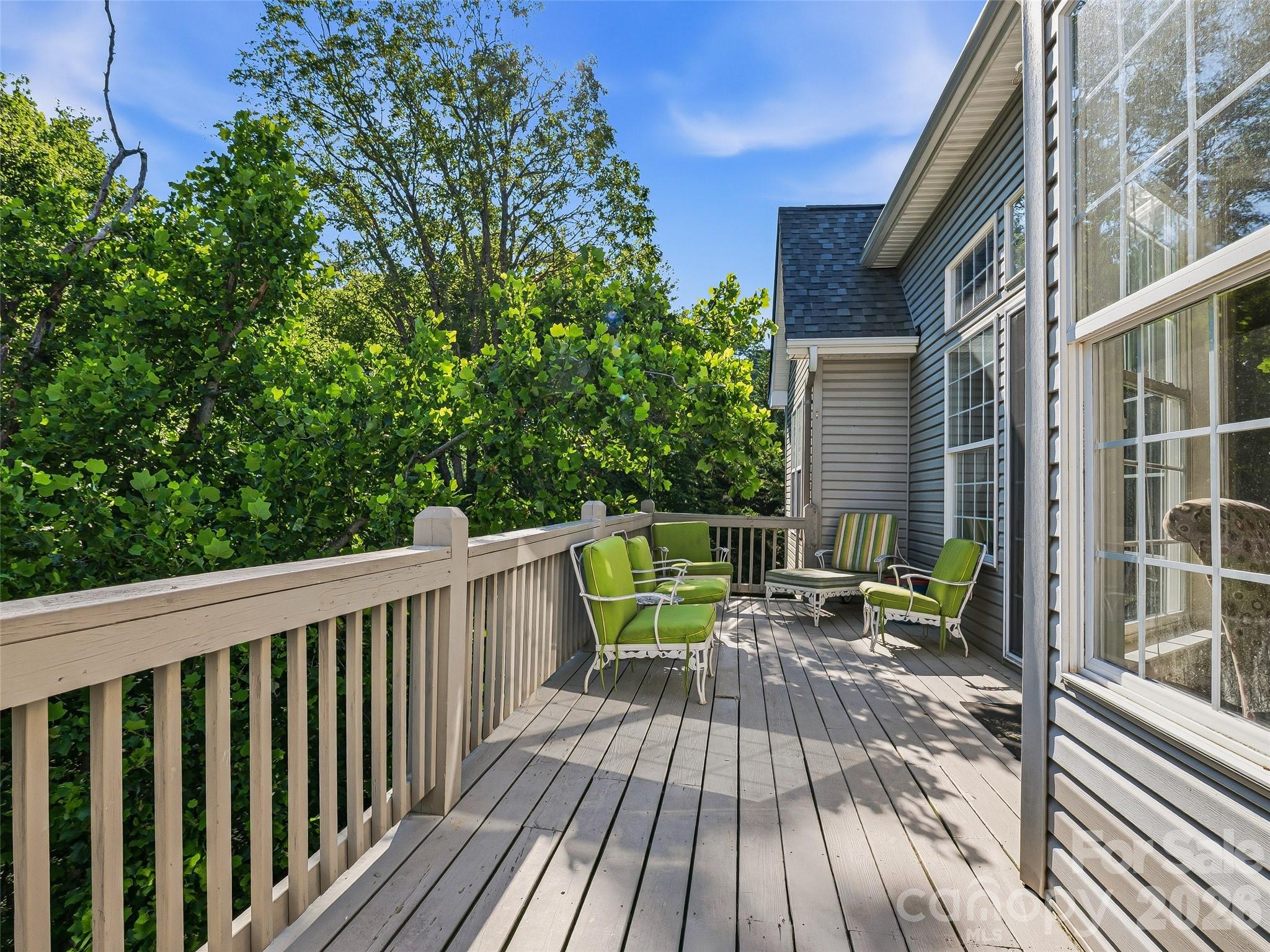 117 Hibiscus Lane — Asheville