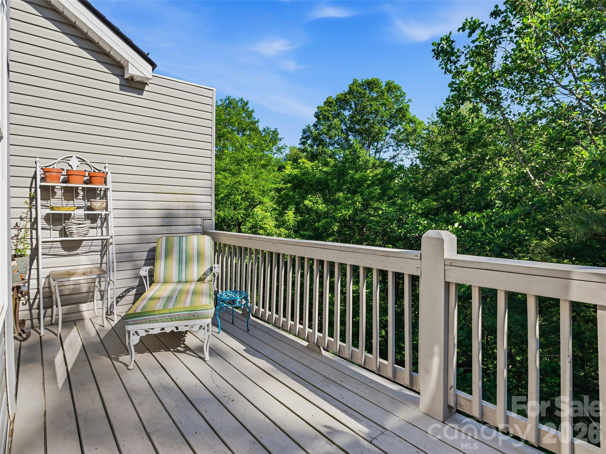 117 Hibiscus Lane — Asheville