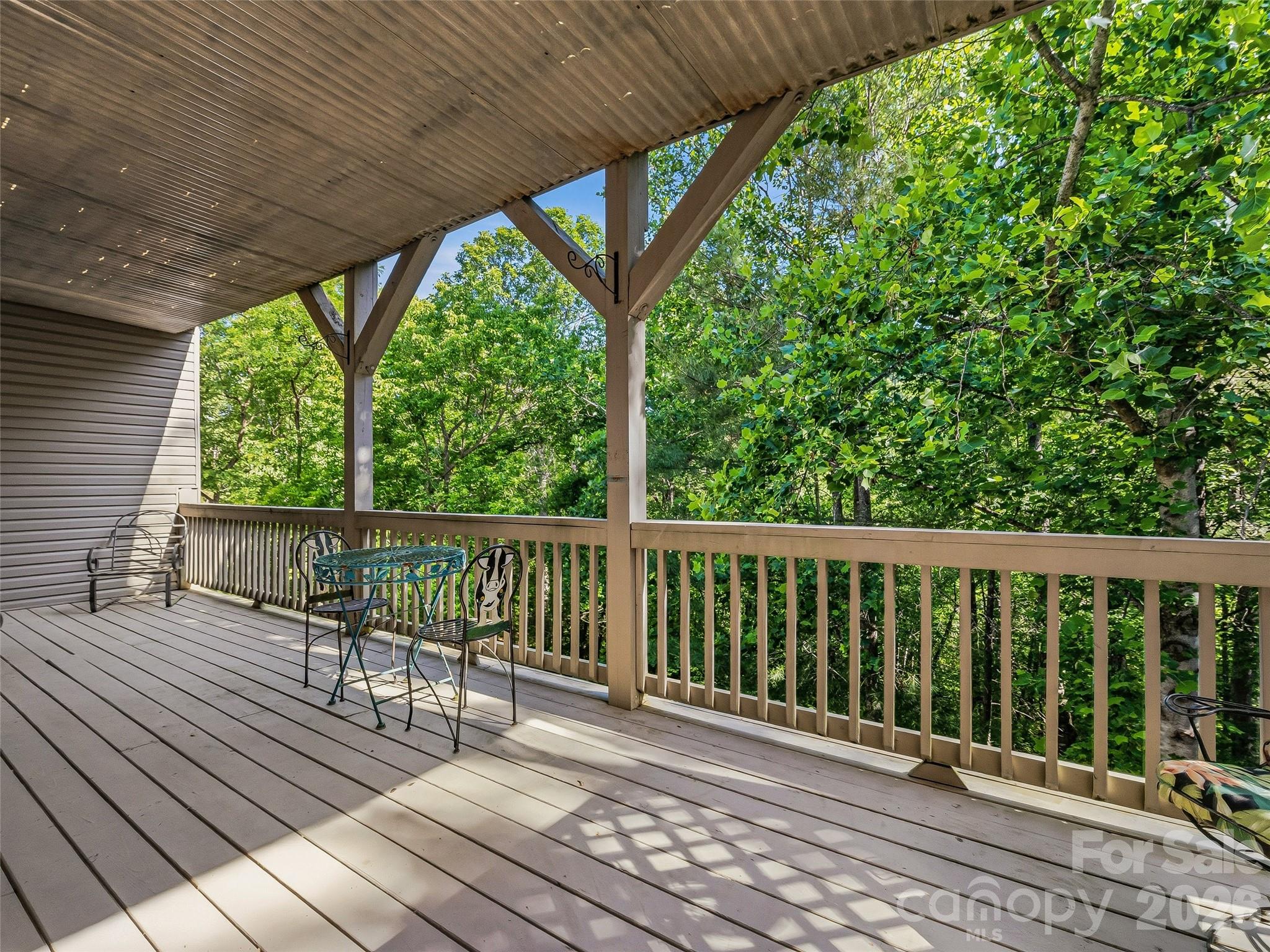 117 Hibiscus Lane — Asheville