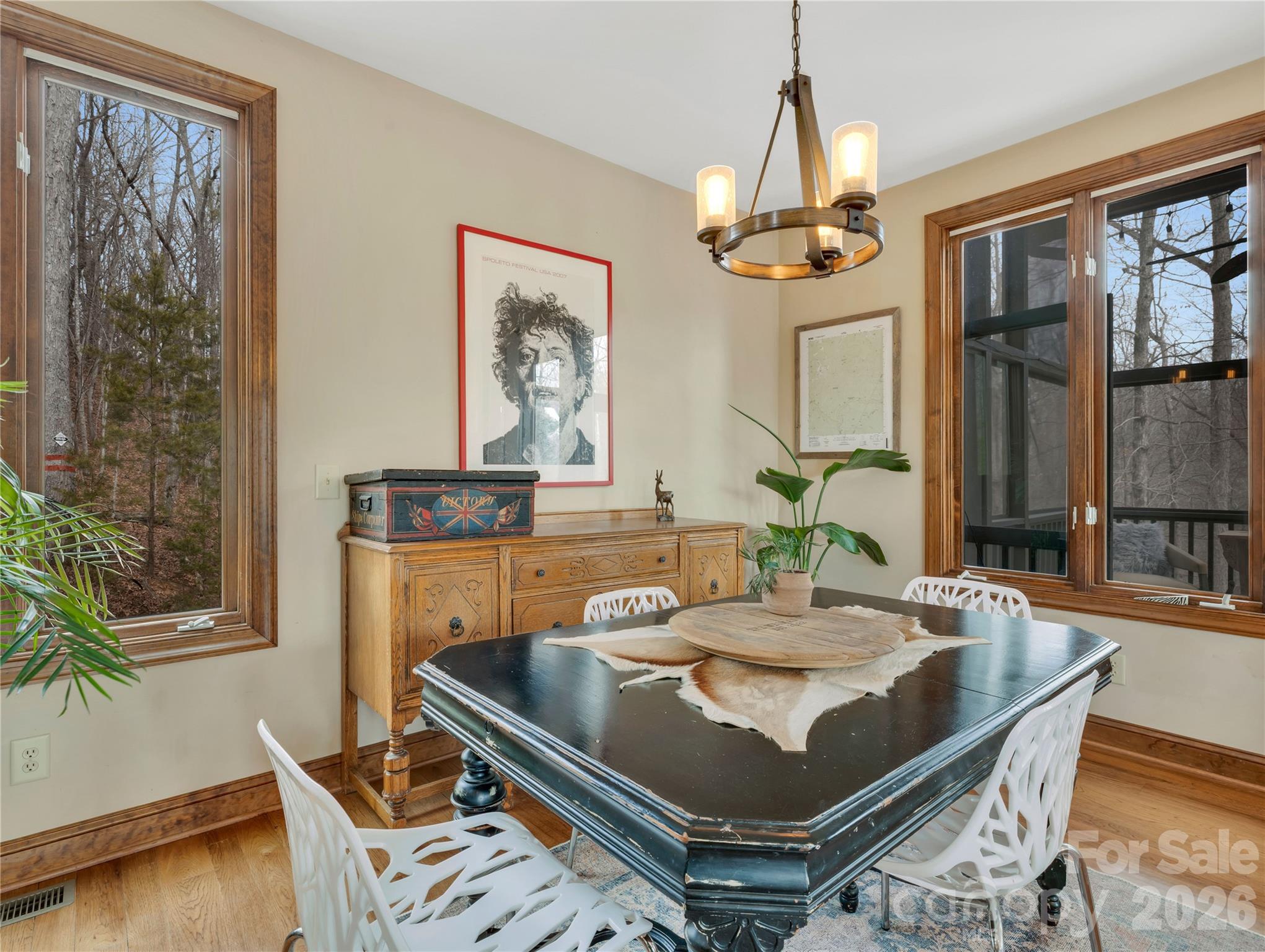 184 Deep Woods Lane — Saluda