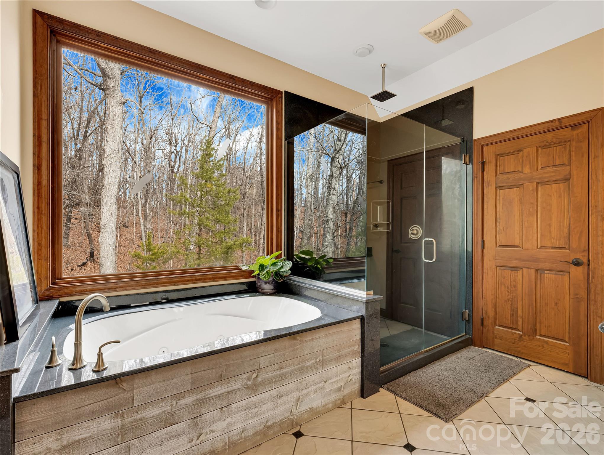 184 Deep Woods Lane — Saluda