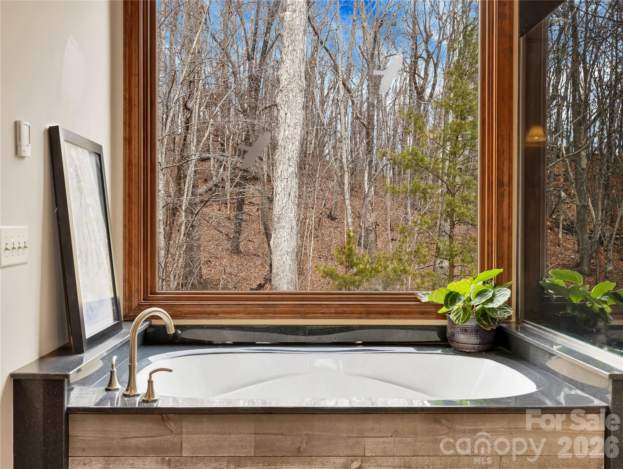 184 Deep Woods Lane — Saluda