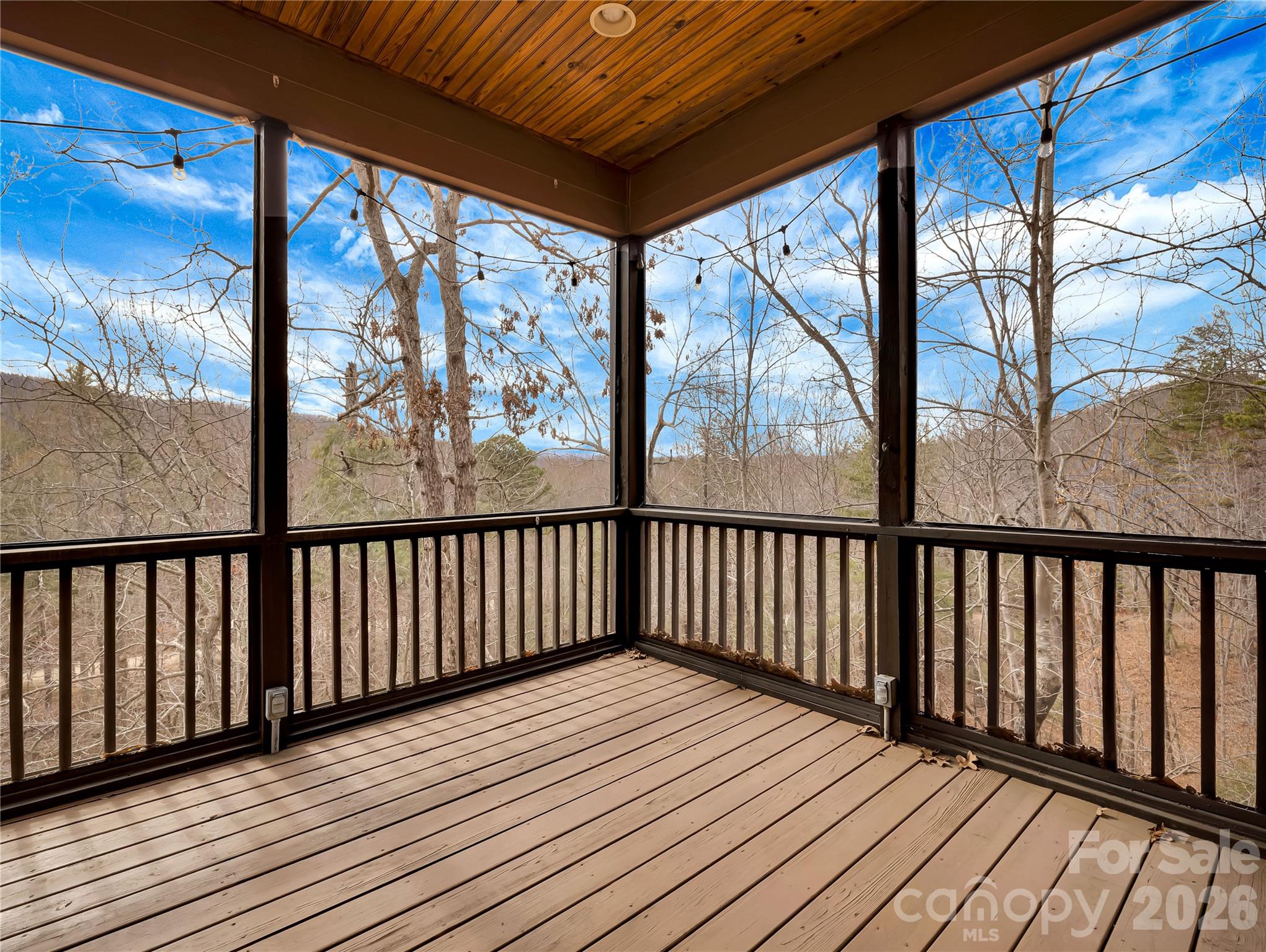 184 Deep Woods Lane — Saluda