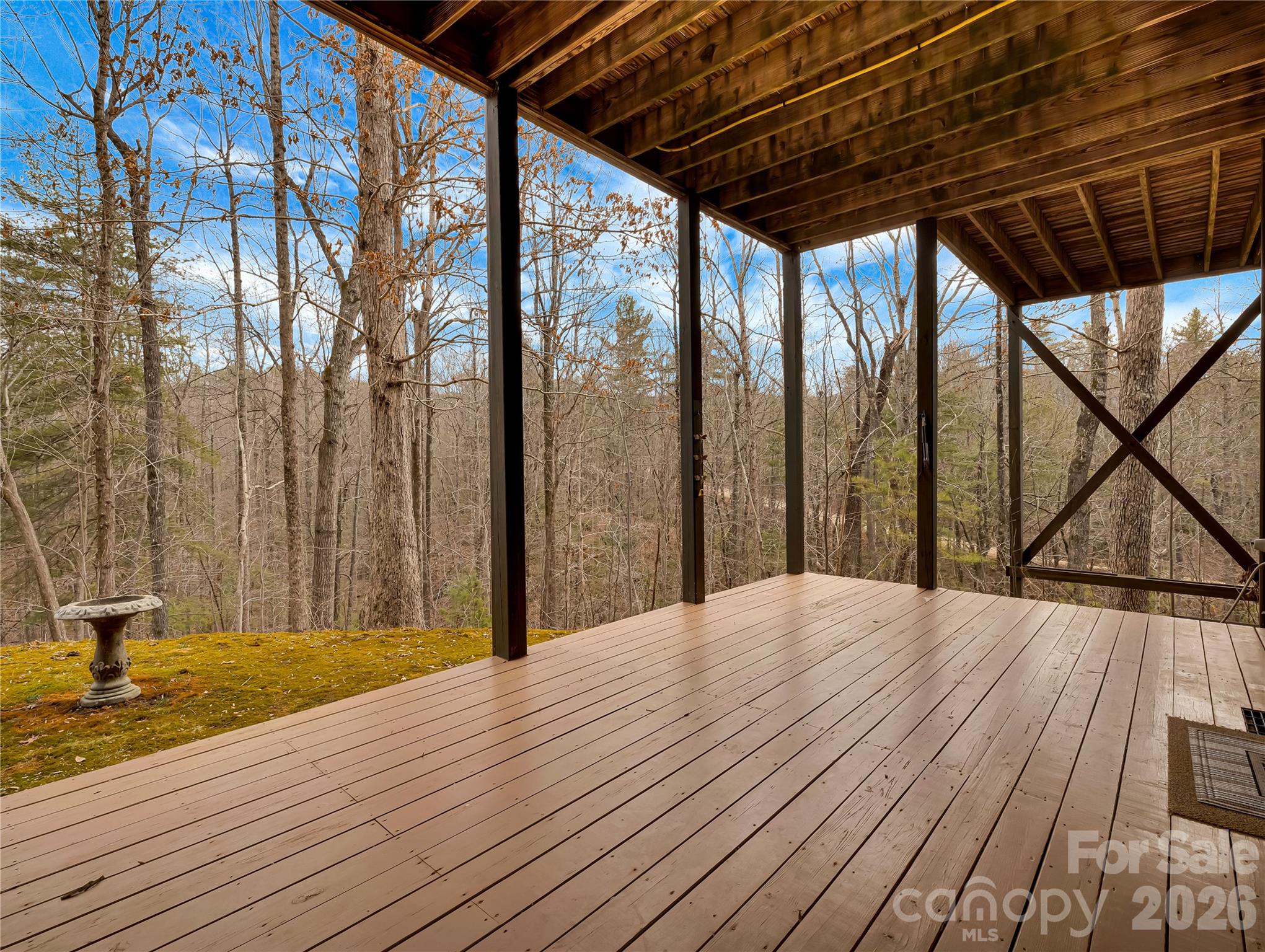 184 Deep Woods Lane — Saluda
