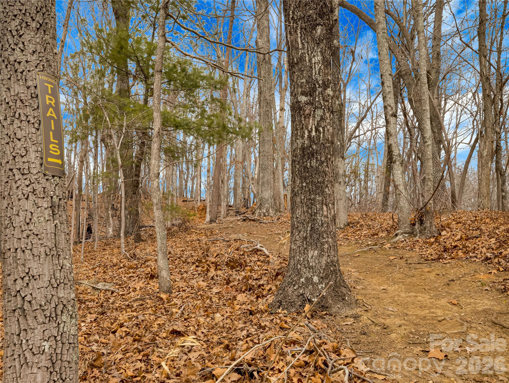 184 Deep Woods Lane — Saluda